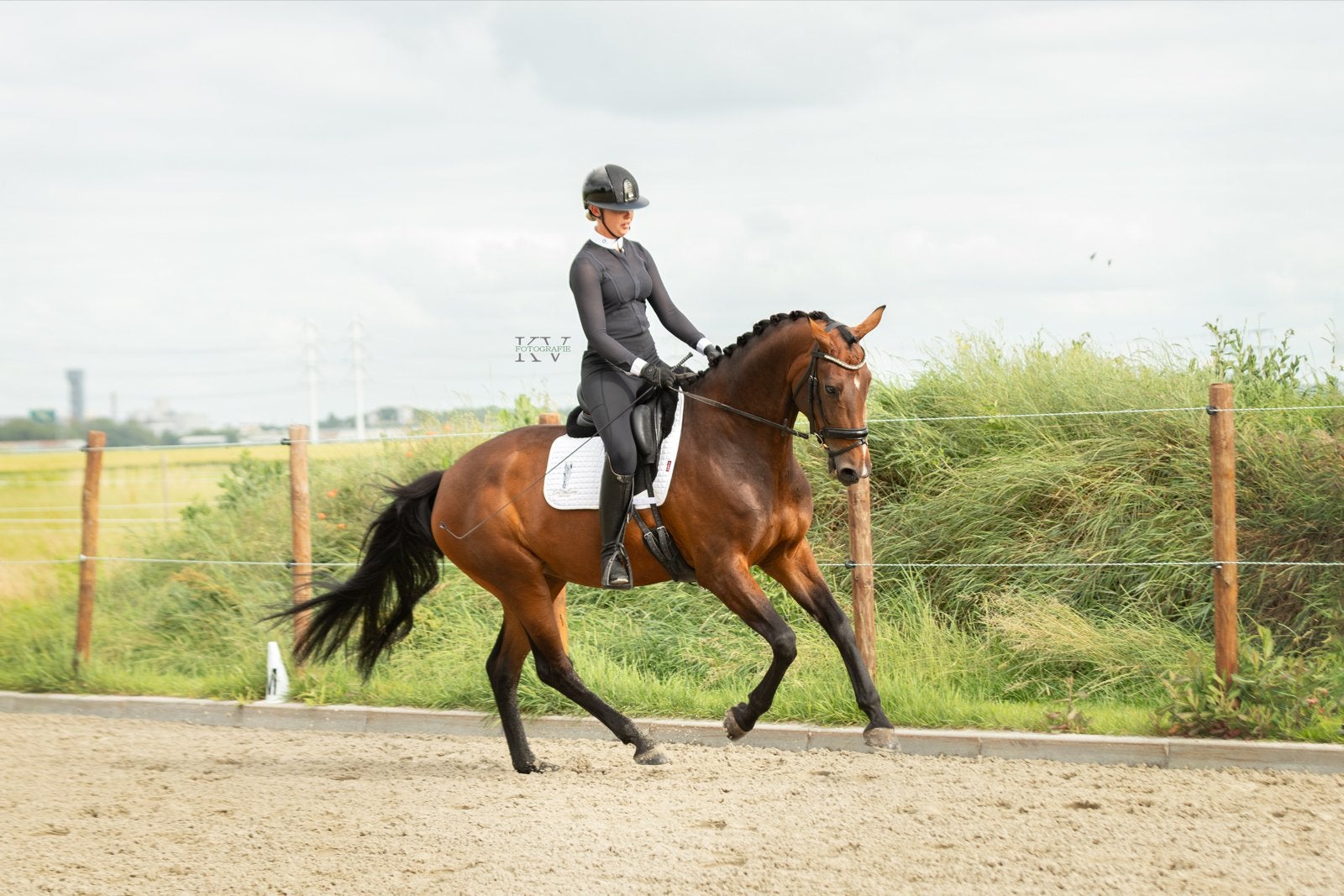 Talentvolle dressuur merrie, Merrie, 165 tot 170 cm, Dressuurpaard
