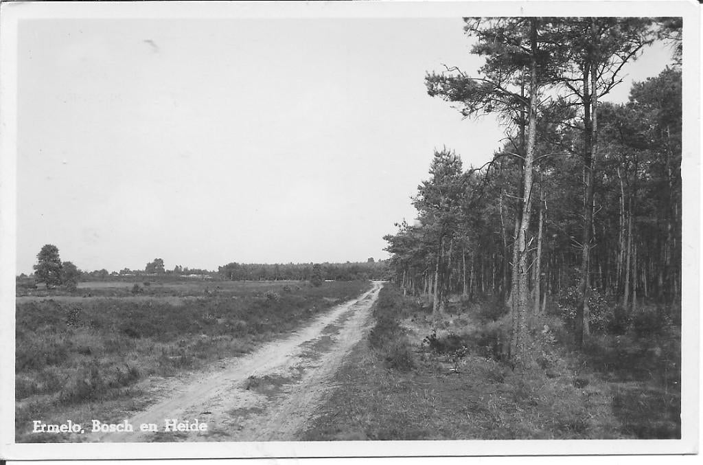 Ermelo Bosch en Heide., Ophalen of Verzenden, 1940 tot 1960, Ongelopen, Gelderland
