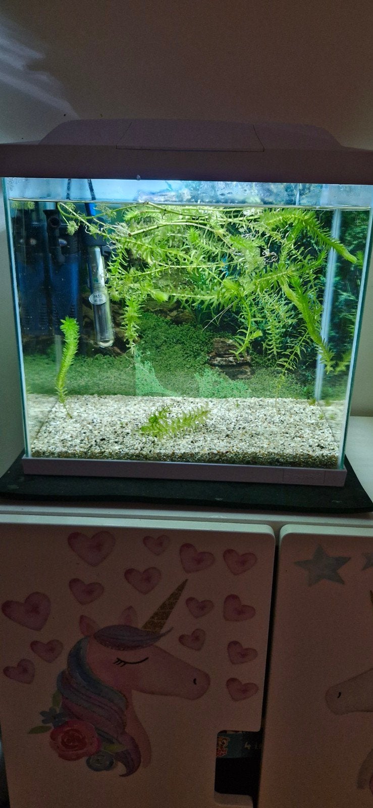 Aquarium Superfish Start 30 liter, Dieren en Toebehoren, Ophalen, Zo goed als nieuw, Leeg aquarium