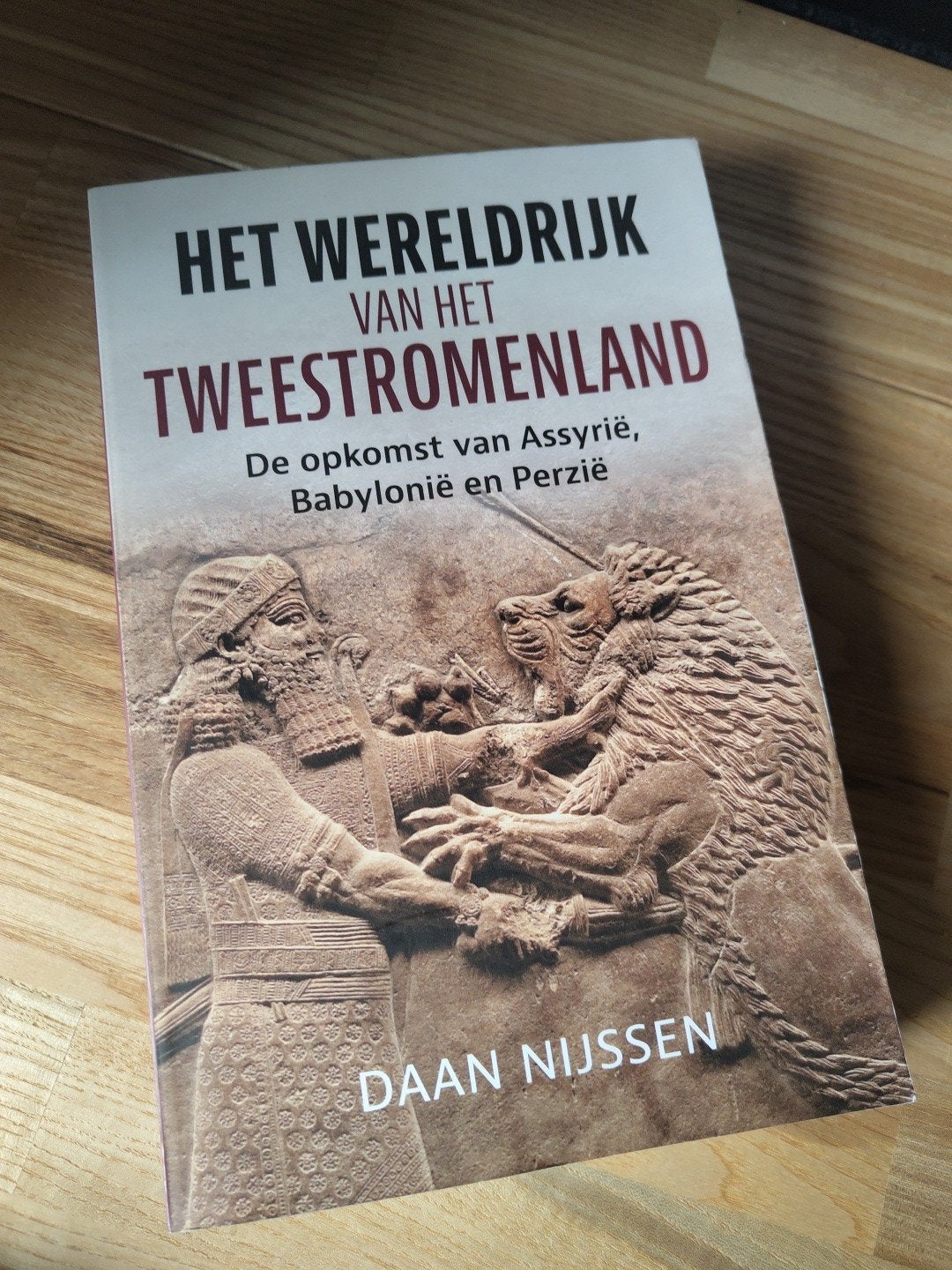 Het Wereldrijk van het Tweestromenland - Daan Nijssen, Boeken, 14e eeuw of eerder, Daan Nijssen, Ophalen of Verzenden, Zo goed als nieuw