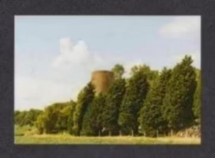 Foto Oude Tonge Ronde Molen 1998., 1980 tot heden, Foto, Ophalen of Verzenden, Zo goed als nieuw