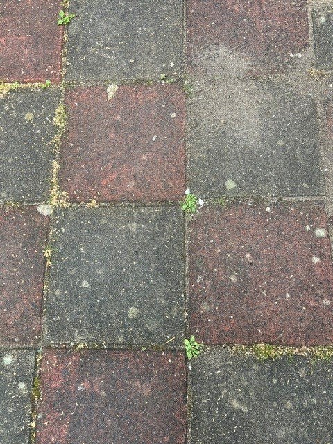 grindtegel en tegels GRATIS, Ophalen, Gebruikt, Beton, Terrastegels
