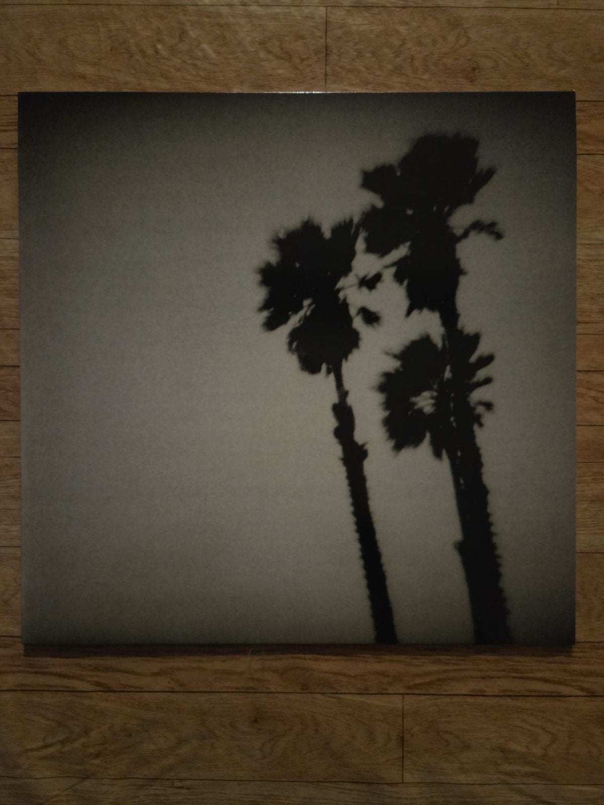 The Twilight Singers Blackberry Belle LP, Ophalen of Verzenden, Zo goed als nieuw, 12 inch, Poprock