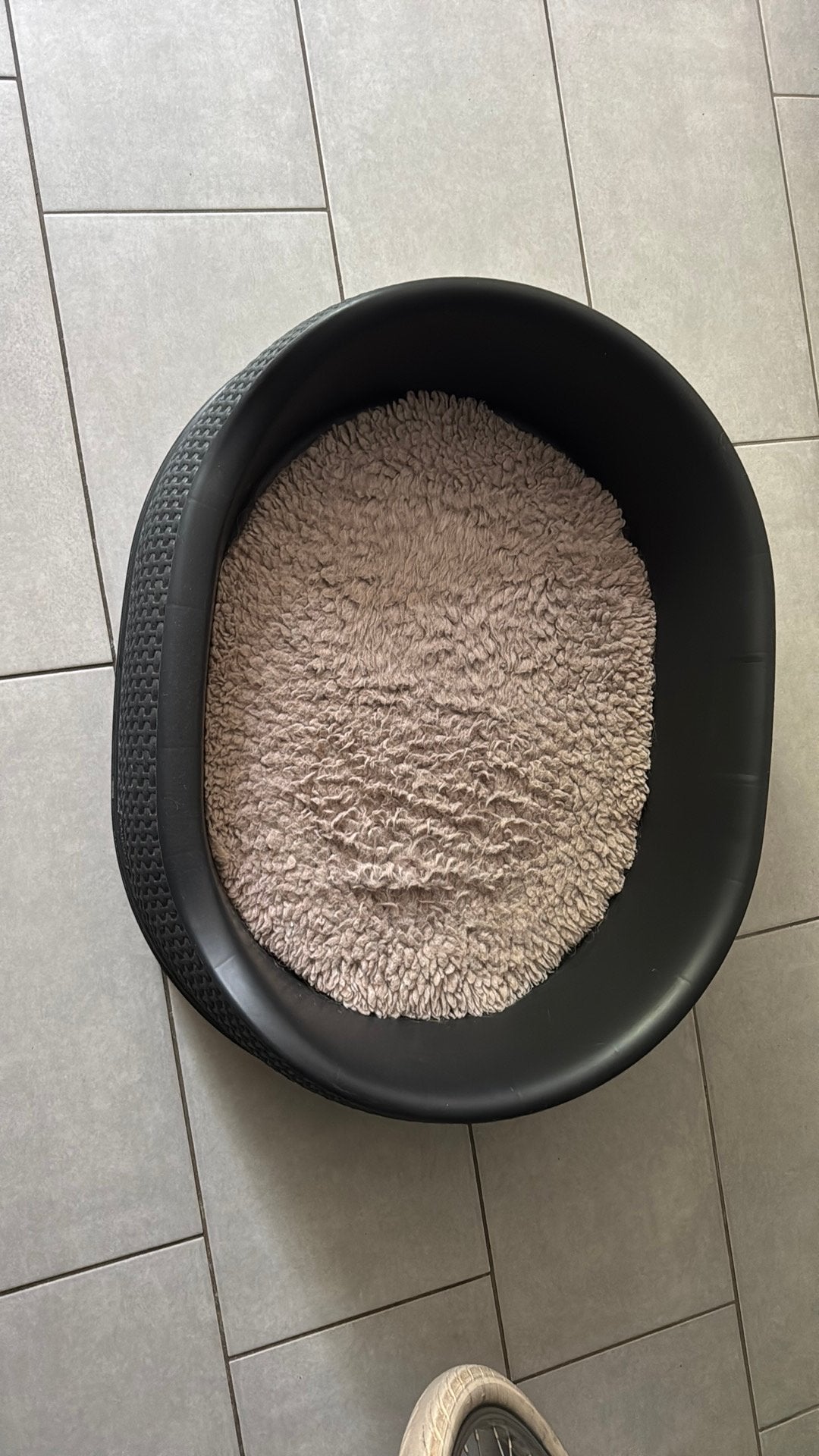Curver hondenmand 80 x 60 cm, Ophalen, Zo goed als nieuw, Overige