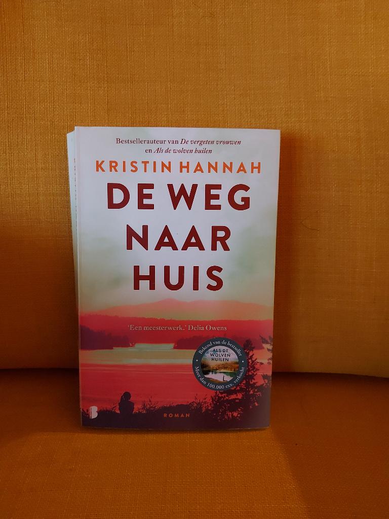 De weg naar huis - Kristin Hannah., Ophalen of Verzenden, Zo goed als nieuw