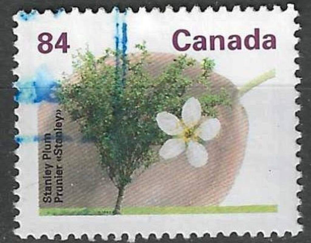 Canada 1991 - Yvert 1227 - Canadese Fruitbomen (ST), Verzenden, Gestempeld, Noord-Amerika