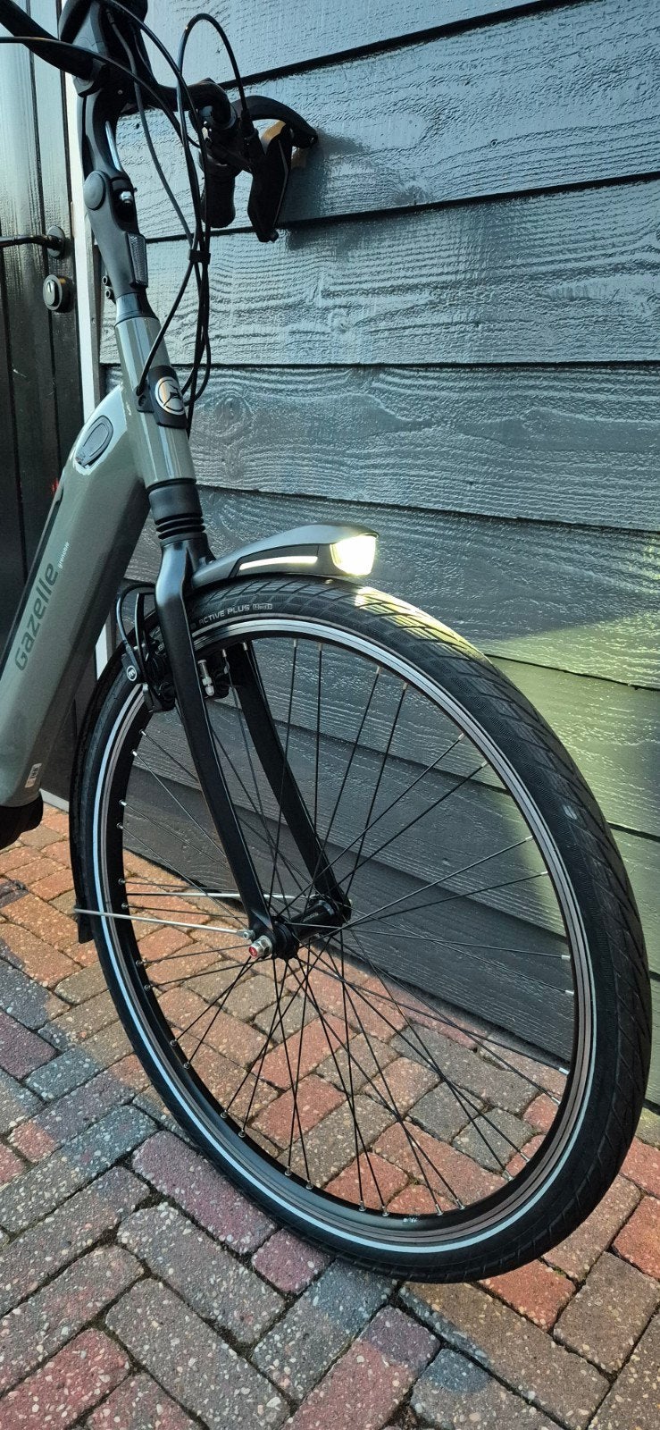 Foto 10 van Gazelle Grenoble e-bike