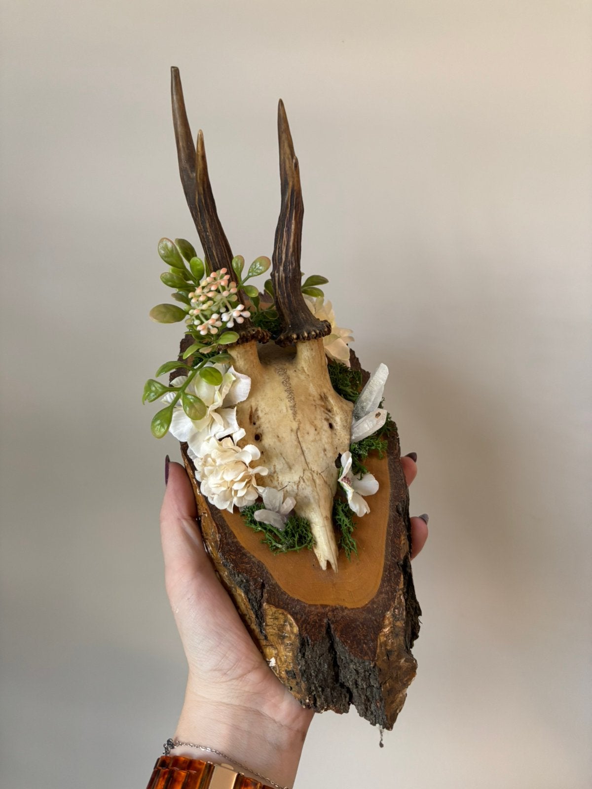 Reebok schedel/gewei - met kunstbloemen en edelstenen, Ophalen of Verzenden, Hert, Schedel