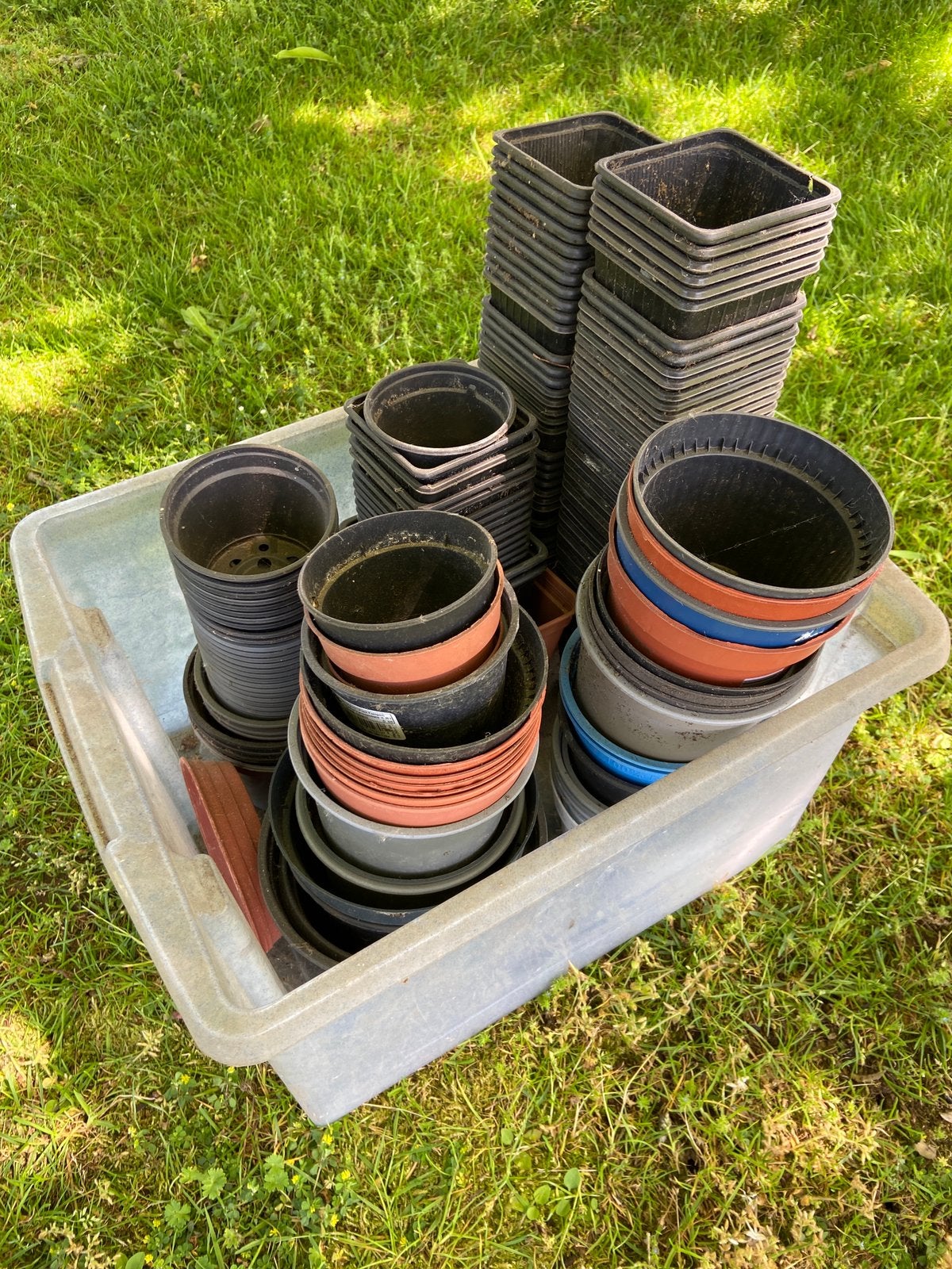 SCHUUR OPRUIMING bak vol met kweekpotjes oa 120 stuks P9, Ophalen, Gebruikt, Overige typen