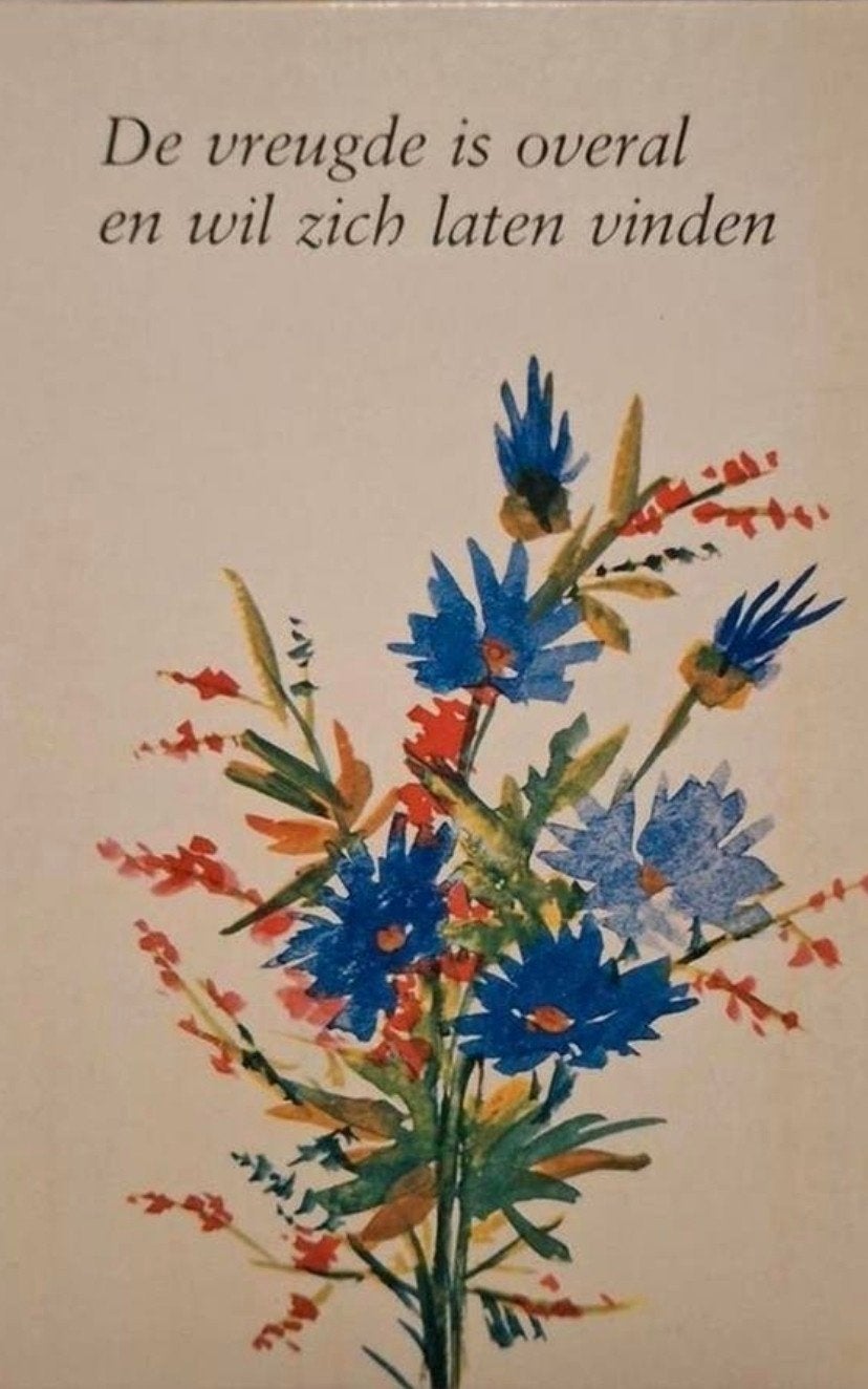 De vreugde is overal - Anna Schrieber, Ophalen of Verzenden, Gelezen, Anna Schrieber, Eén auteur
