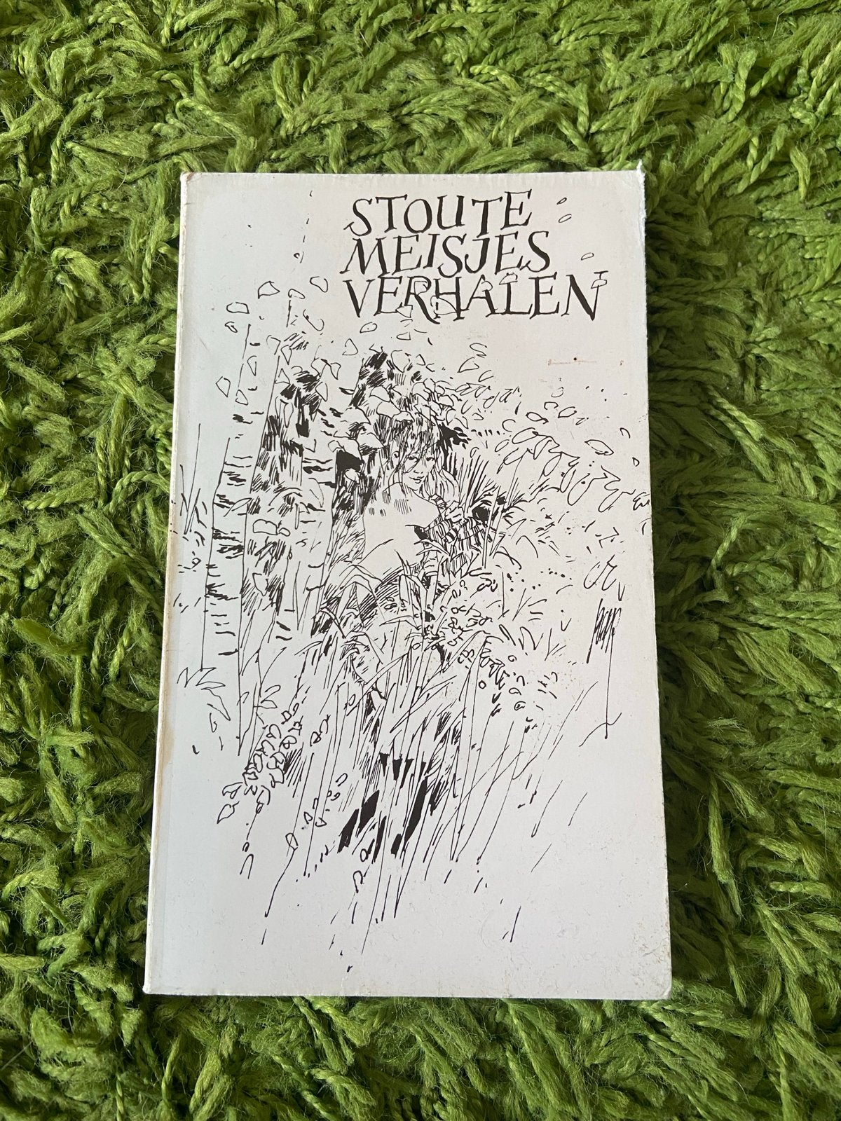 Stoute Meisjes Verhalen - Verzameling korte verhalen, Ophalen of Verzenden, Gelezen, Nederland