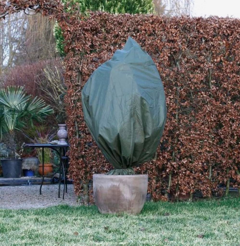 Winter beschermhoezen voor vorstgevoelige bomen, Volle zon, Winter, 100 tot 250 cm, Overige soorten