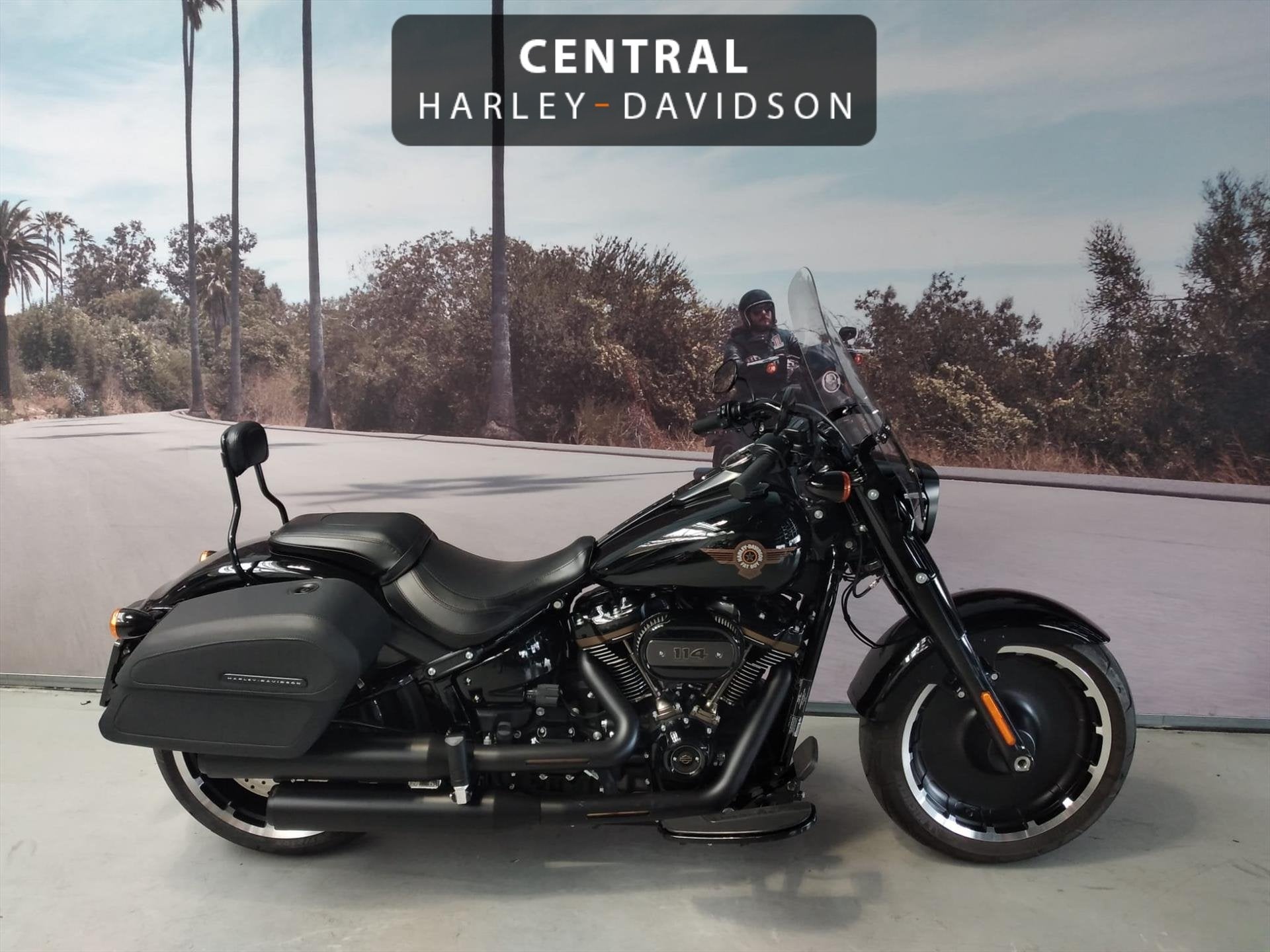 Harley-Davidson Fatboy 30th Anniversary 114'', Motoren, Meer dan 35 kW, Overig, Gebruikt, Bedrijf