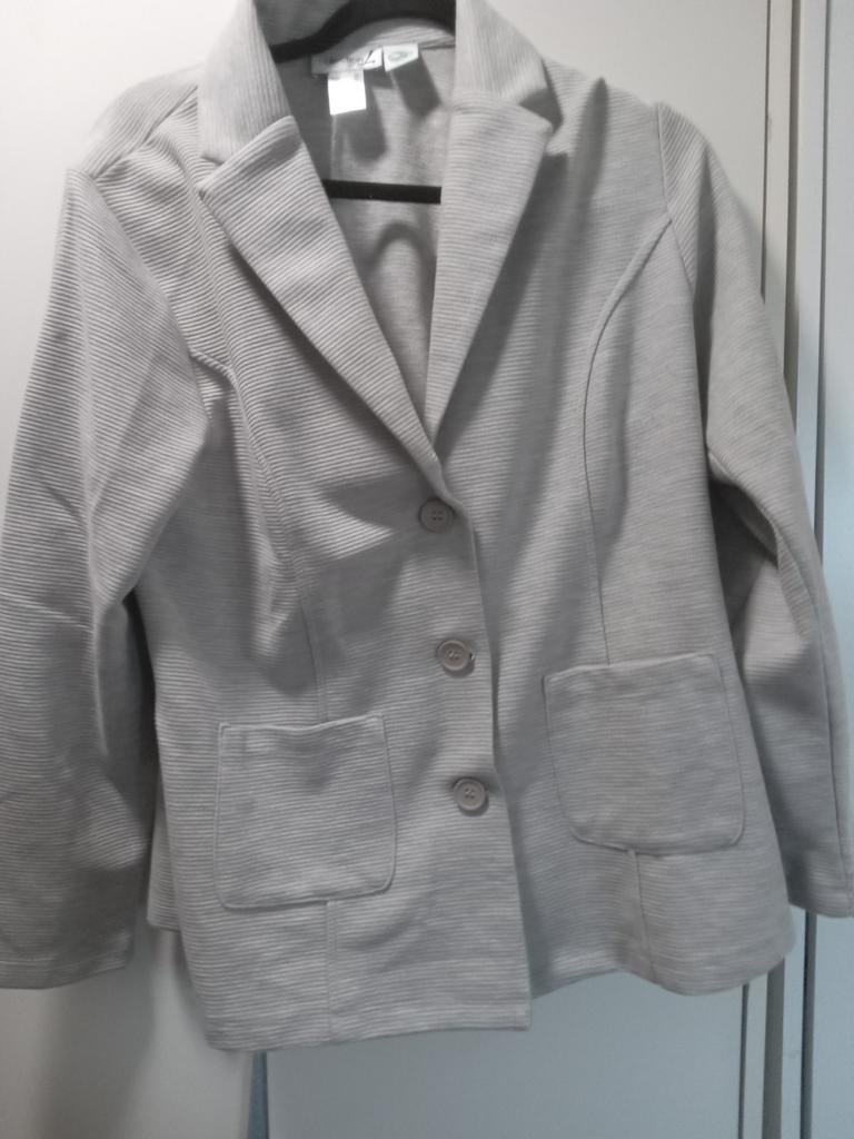 Leuk grijs jasje maat 46, Ophalen of Verzenden, Zo goed als nieuw, Maat 46/48 (XL) of groter, Grijs
