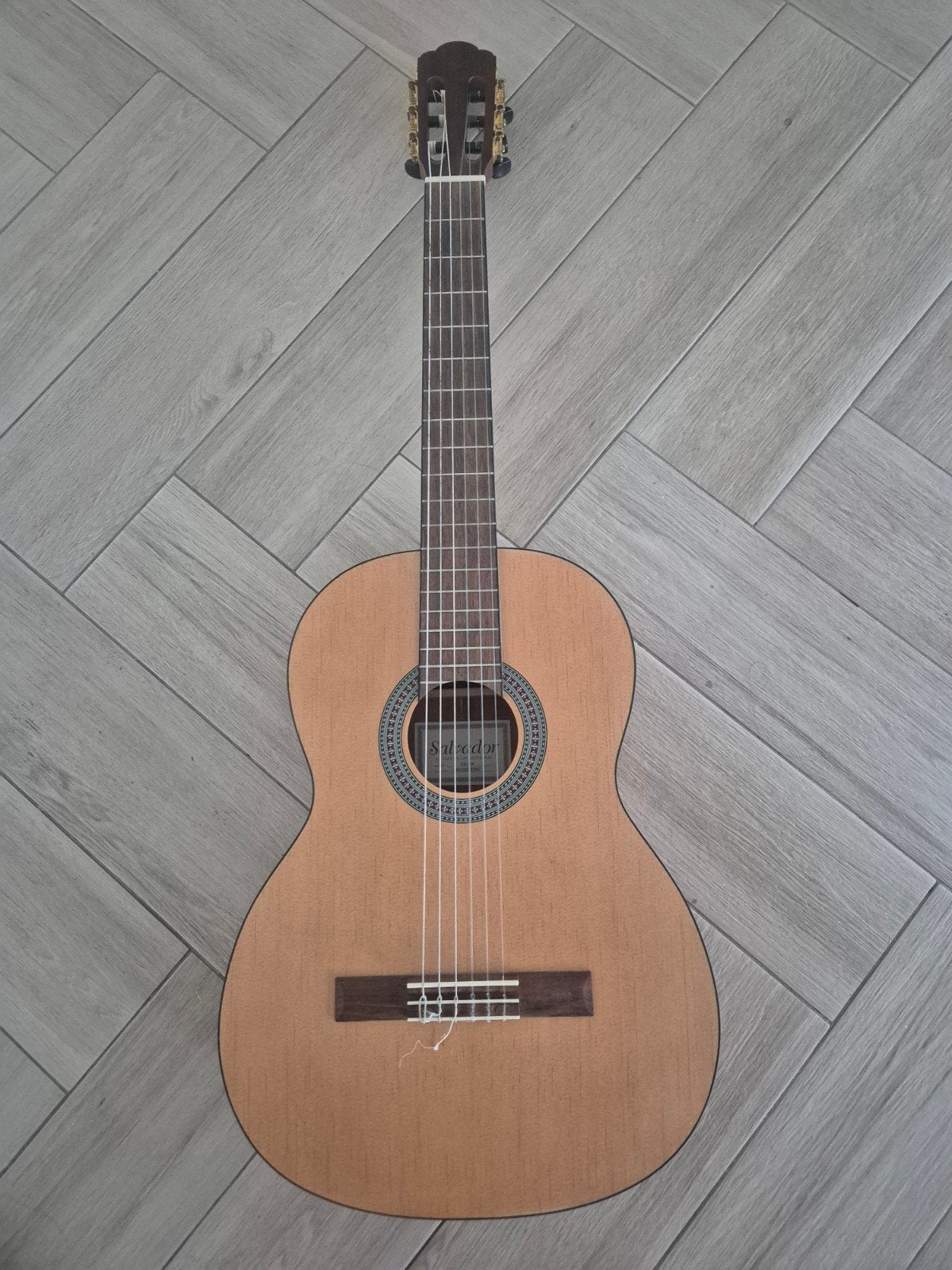 Salvador akoestische gitaar met soft shell, Muziek en Instrumenten, Snaarinstrumenten | Gitaren | Akoestisch, Ophalen, Gebruikt