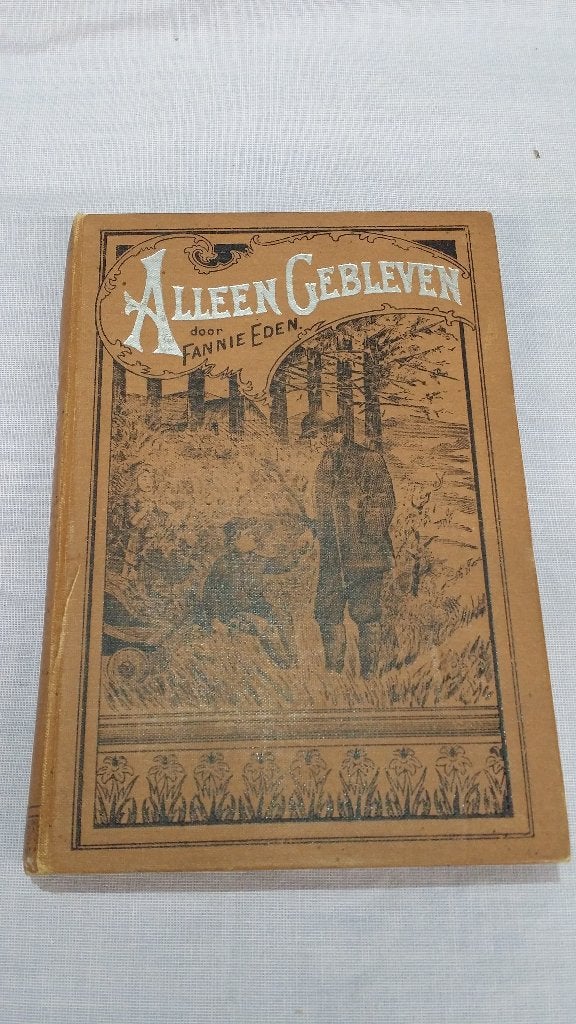 Boek 1900. Alleen gebleven of de weezen van de dennenhut., Ophalen of Verzenden