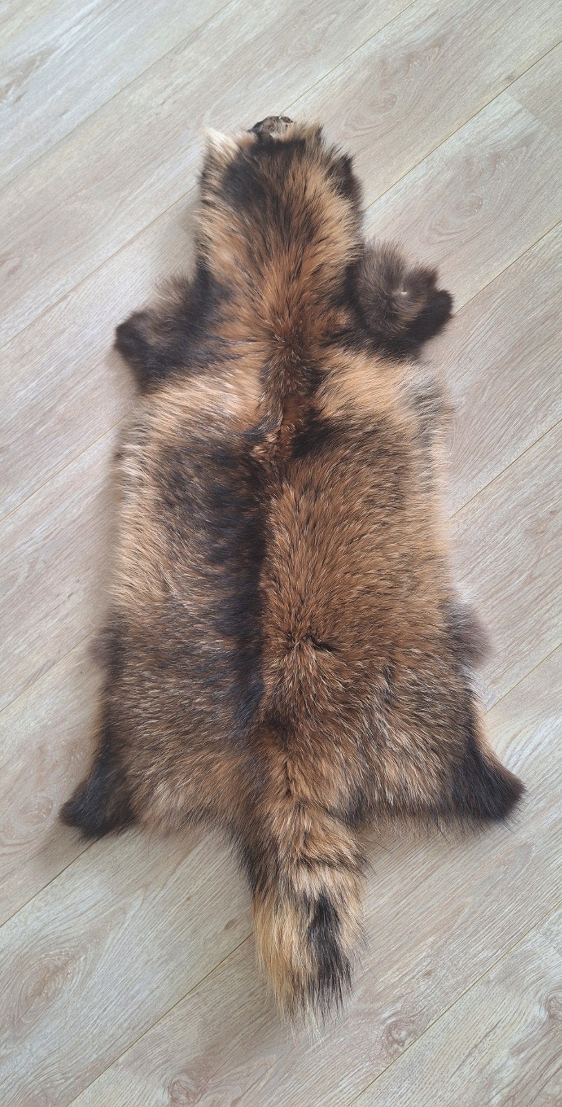 Raccoon bontvel bont, Kleding | Dames, Mutsen, Sjaals en Handschoenen, Ophalen of Verzenden, Zo goed als nieuw