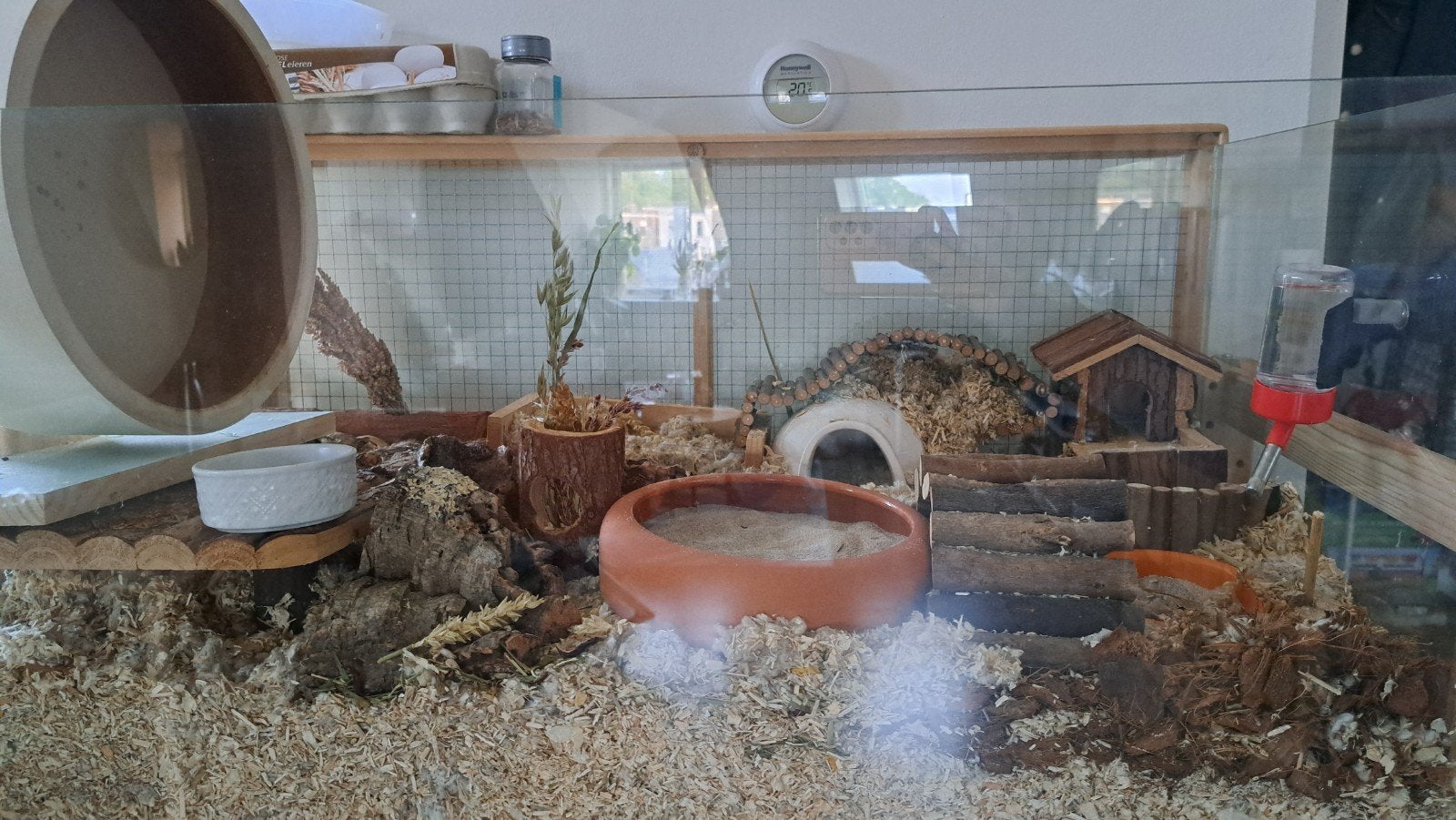 Hamster-/gerbilkooi met deksel en accessoires (80x40), Dieren en Toebehoren, Kooi, Gebruikt, Hamster, 75 tot 110 cm