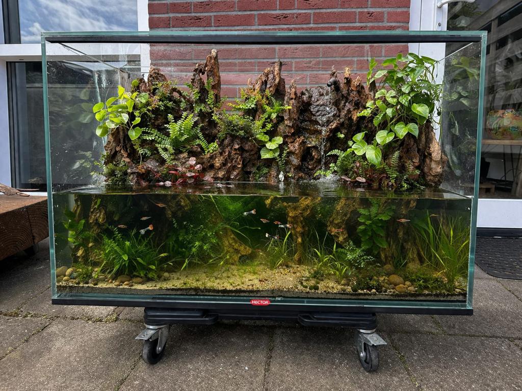 Paludarium LEEG!!, Ophalen, Leeg aquarium