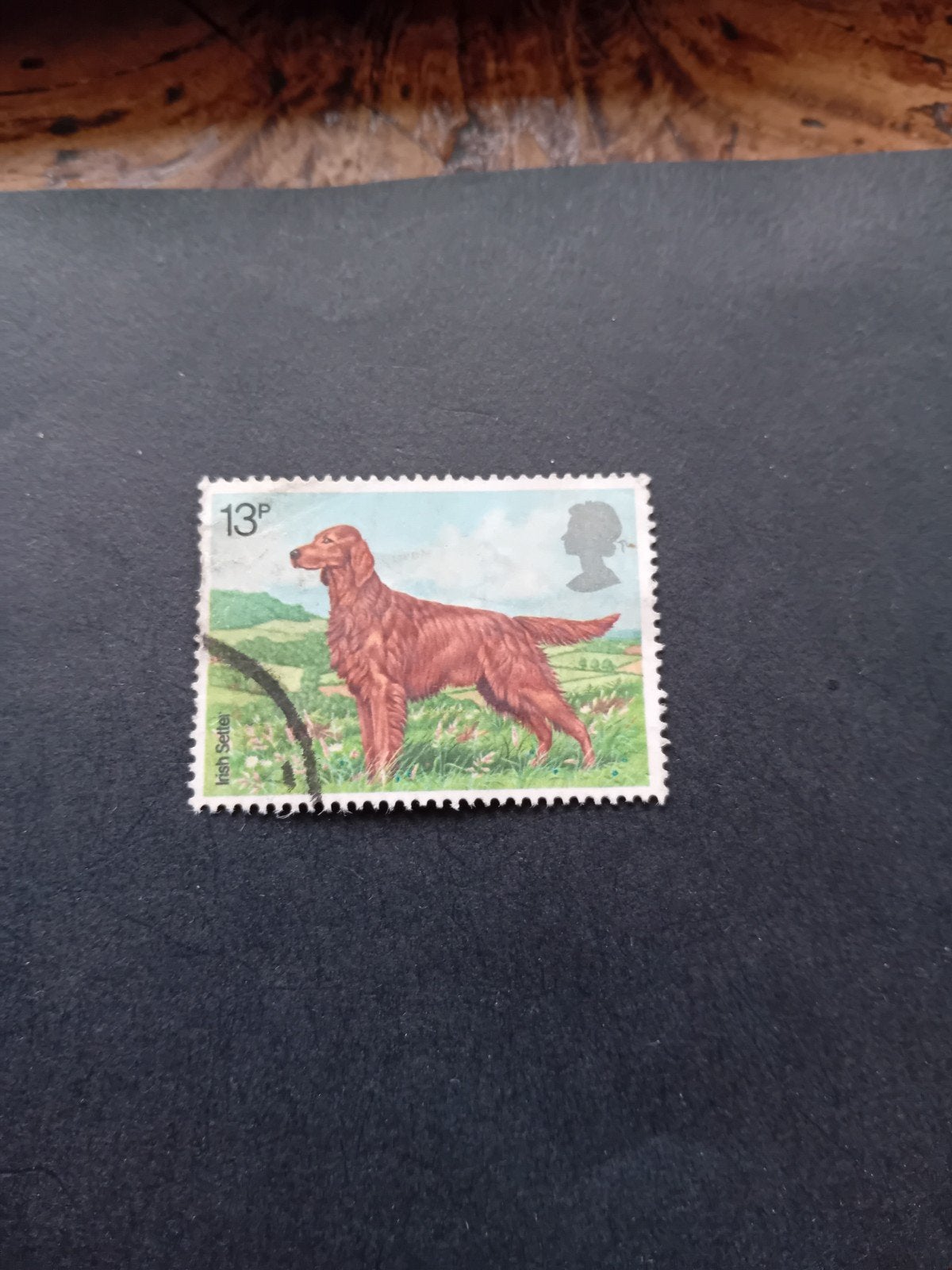 Vintage postzegel Ierse Setter 13p, Ophalen of Verzenden