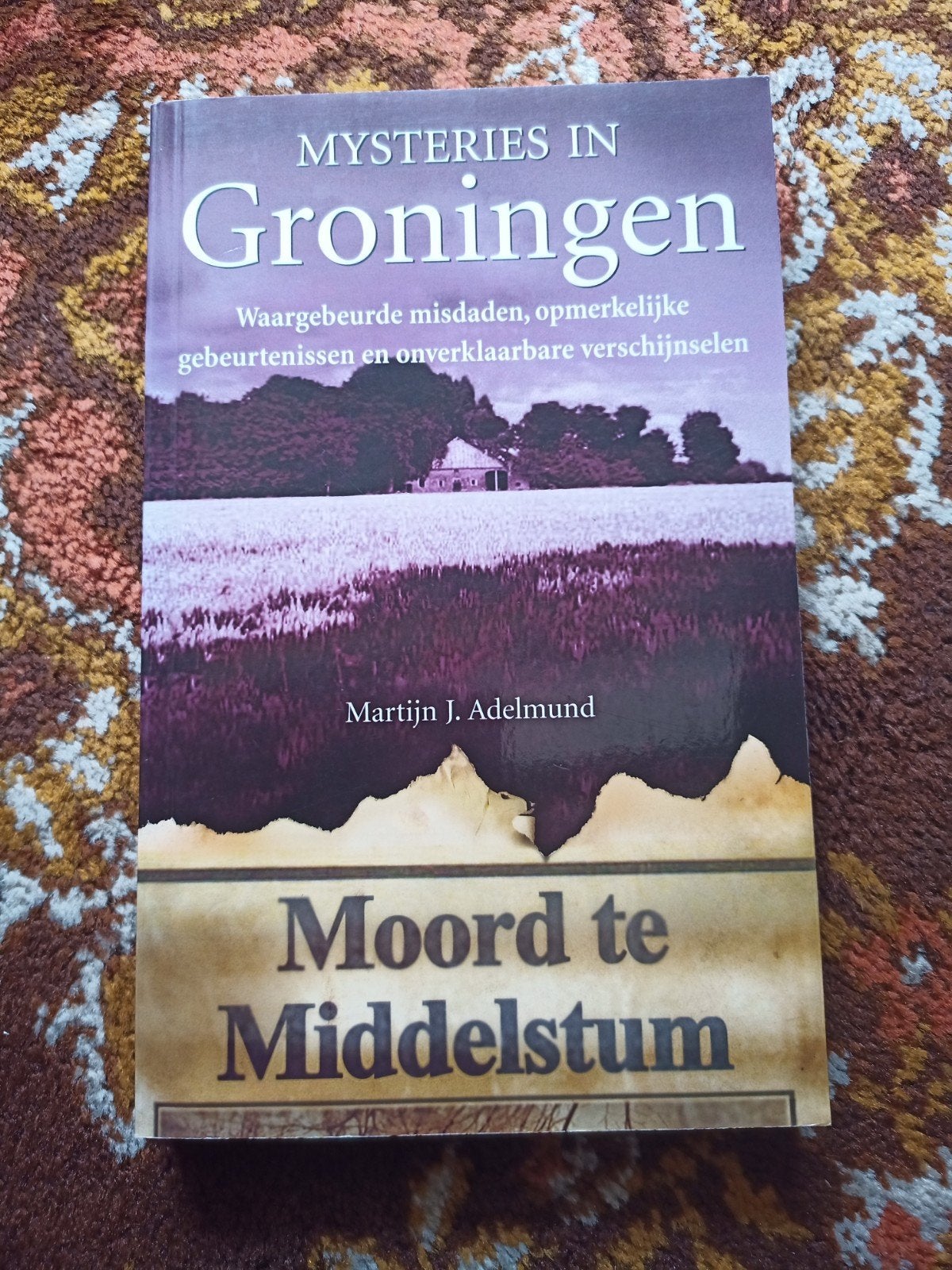 Martijn J. Adelmund - Groningen, Ophalen of Verzenden, Zo goed als nieuw, Martijn J. Adelmund