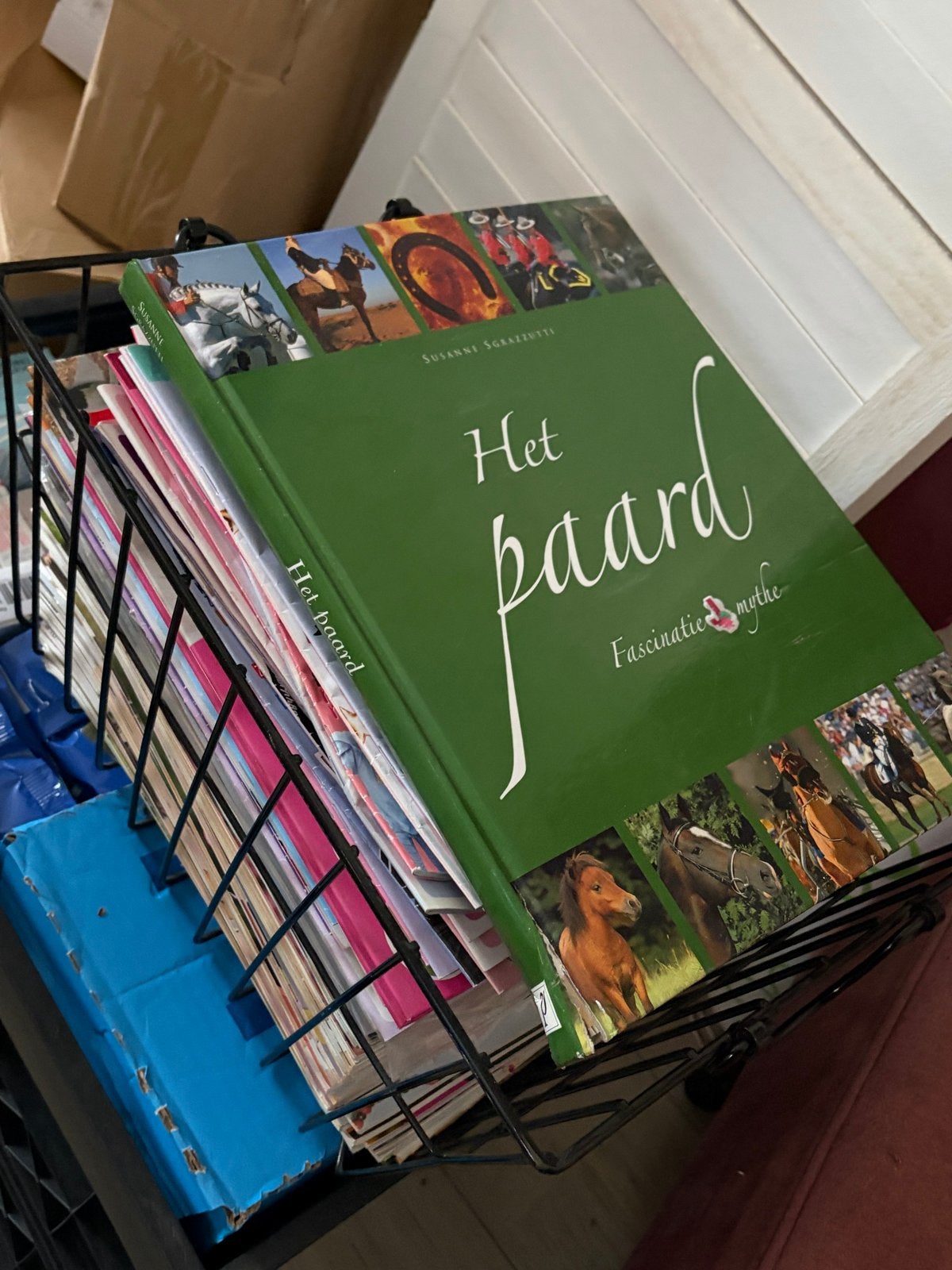 Grote mand meiden boeken: Tina, Penny en paardenboeken, Ophalen of Verzenden, Gelezen