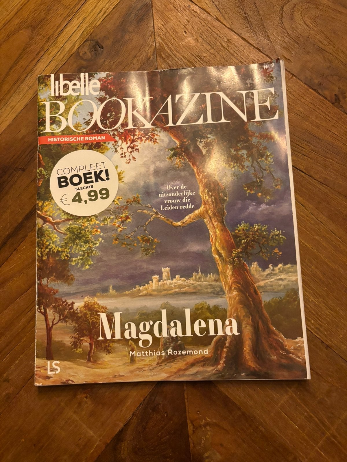 Magdalena - Matthias Rozemond ( Bookazine ), Ophalen of Verzenden, Zo goed als nieuw, Matthias Rozemond