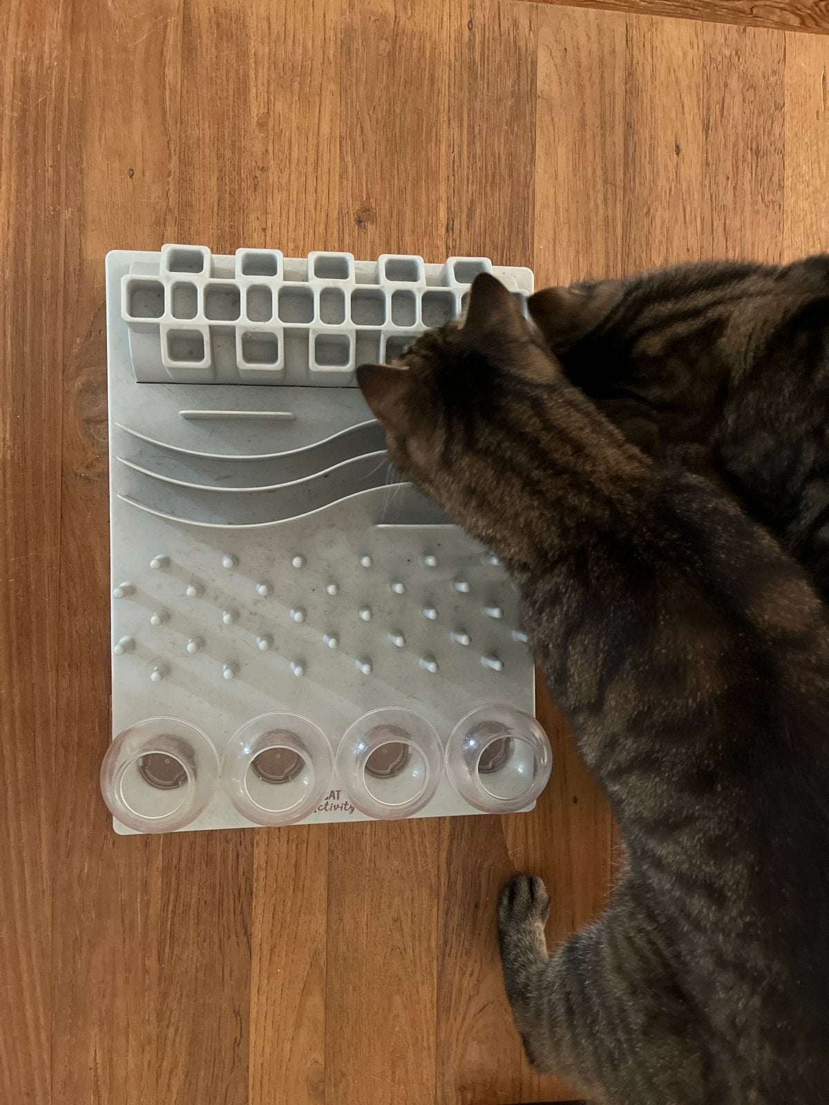Cat activity board - Katten voerpuzzel, Ophalen of Verzenden, Zo goed als nieuw