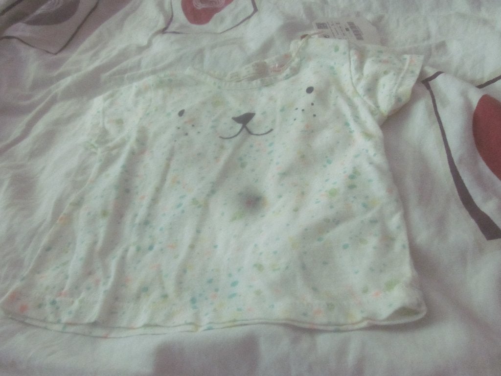 Nieuw wit/mint/roze shirtje met berensnoetje Zara maat 74, Kinderen en Baby's, Babykleding | Maat 74, Meisje, Nieuw, Ophalen of Verzenden