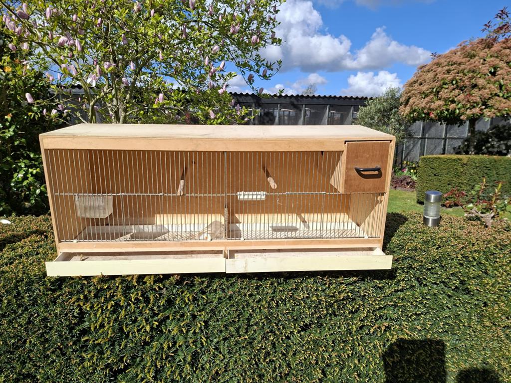 broedkooien, Dieren en Toebehoren, Ophalen, Zo goed als nieuw, Hout, Broedkooi of Kweekkooi
