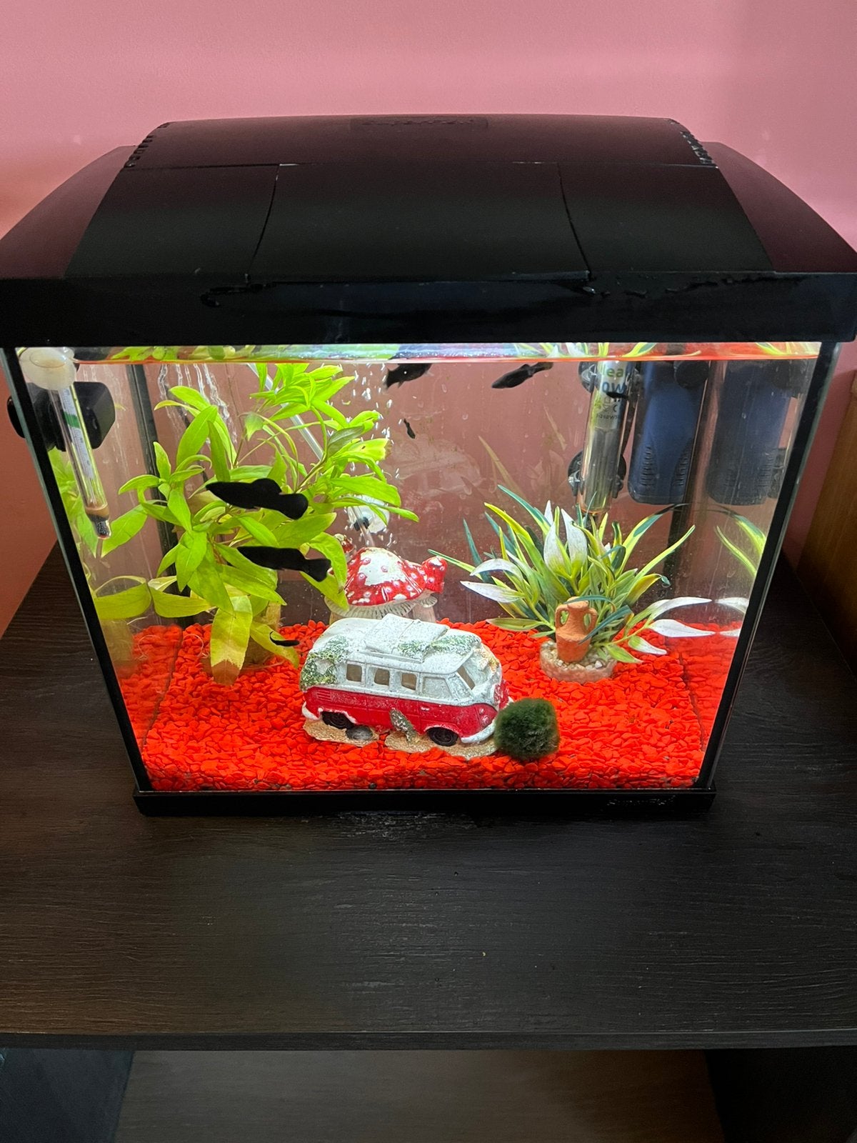 Superfish aquarium, Ophalen, Gebruikt, Gevuld zoetwateraquarium, Superfish