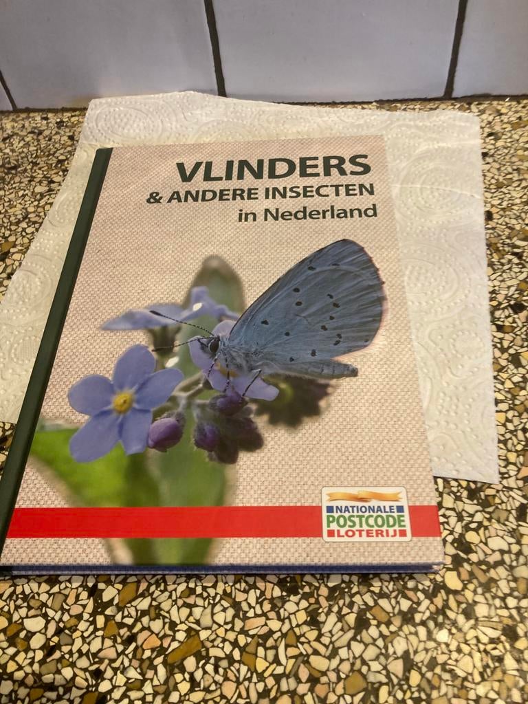 Vlinders, Ophalen of Verzenden, Zo goed als nieuw, Overige onderwerpen