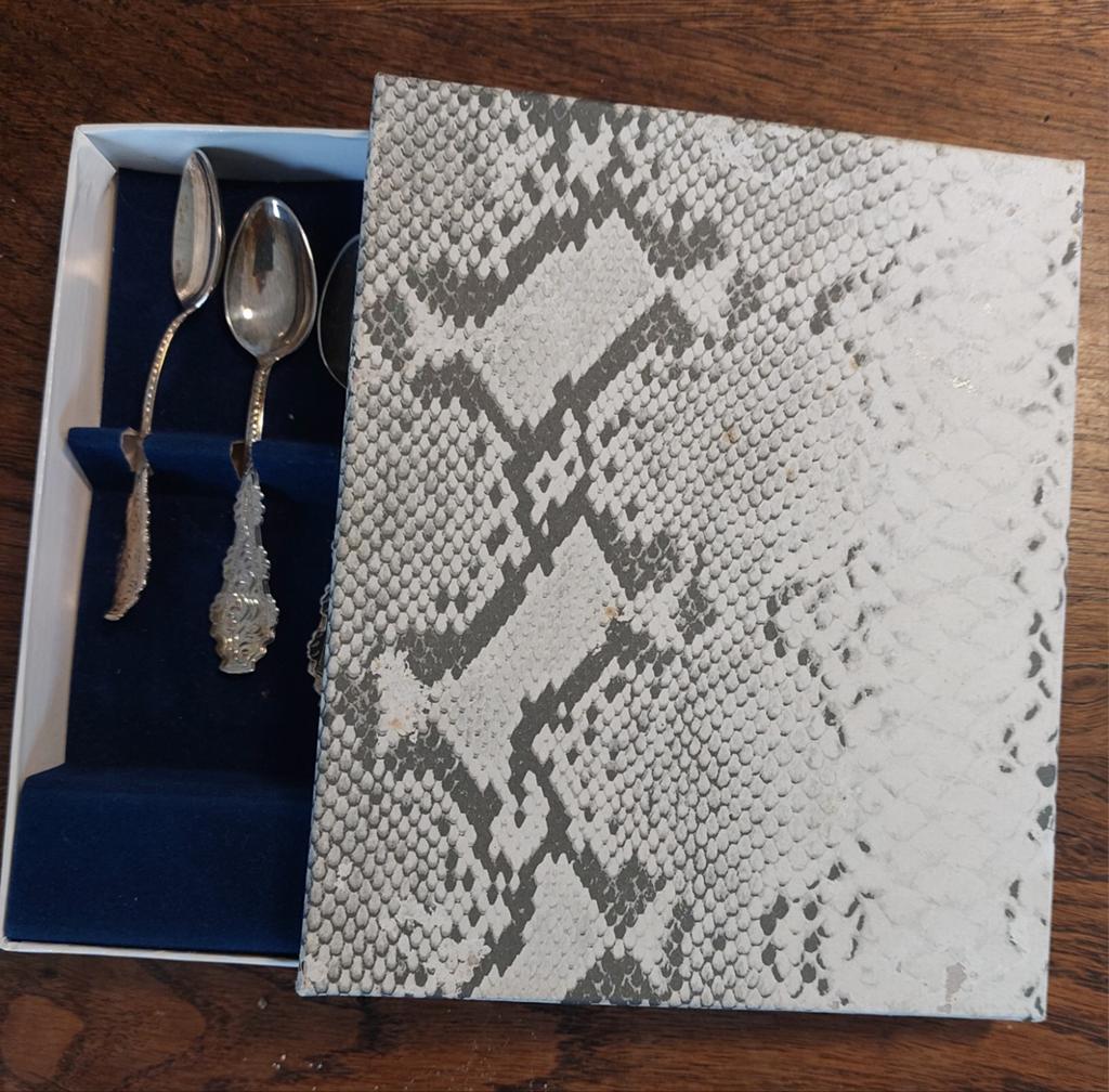 Set van 6 verzilverde theelepels in doos, Ophalen of Verzenden