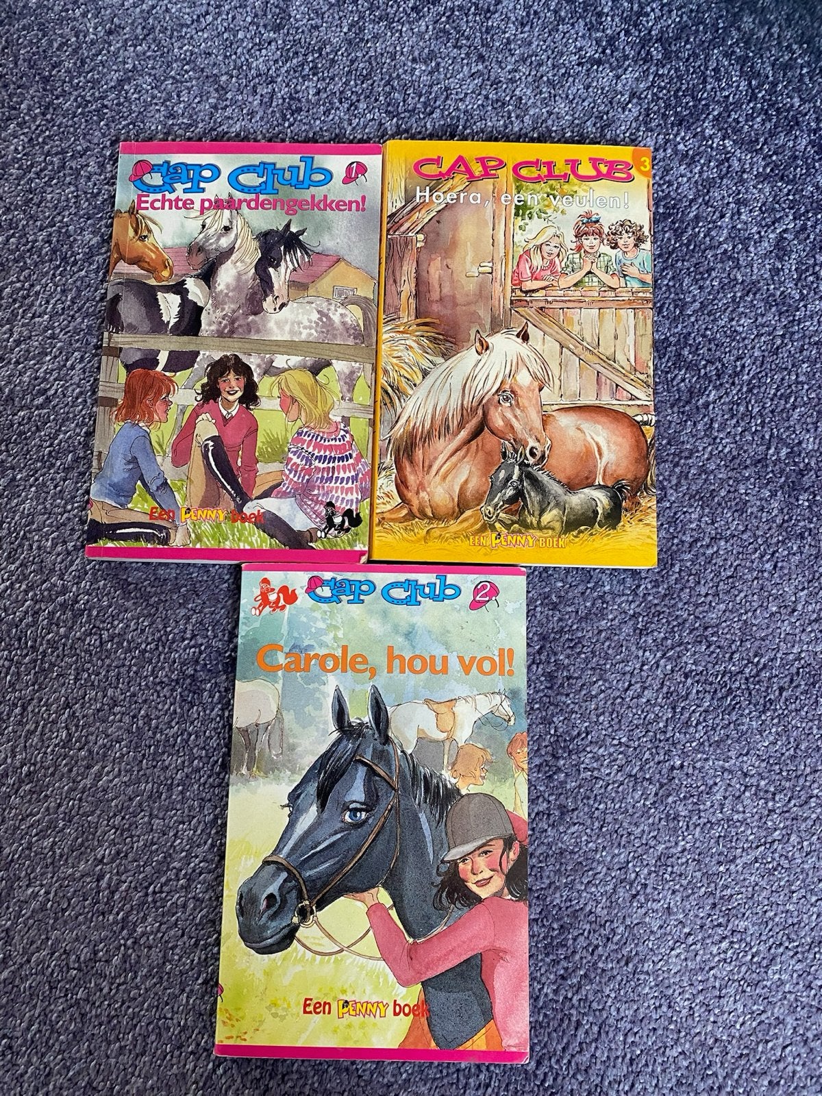 Cap Club boeken -3 toffe paarden leesboeken, Ophalen of Verzenden, Gelezen, Fictie algemeen