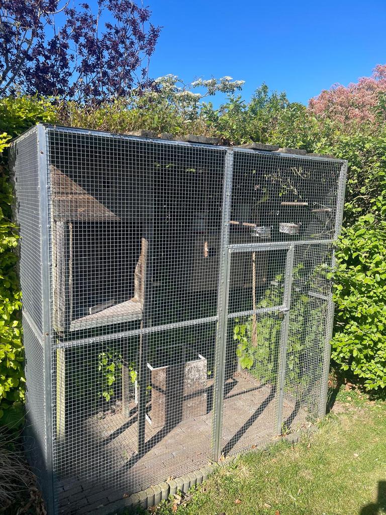 Vogelvoliere, Dieren en Toebehoren, Vogels | Hokken en Kooien, Ophalen, Metaal, Volière