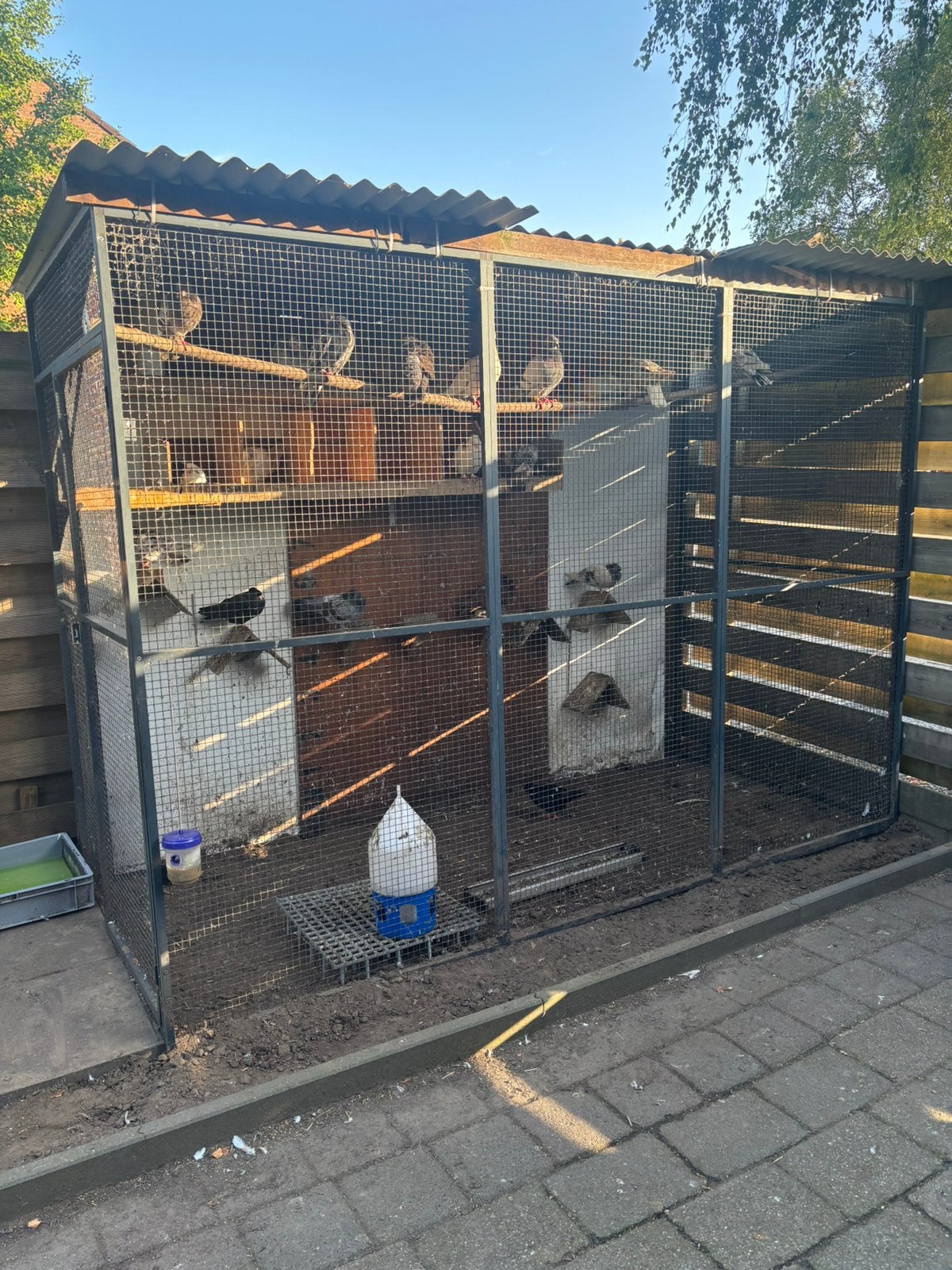 Volière kattenren, Ophalen, Aluminium, Volière
