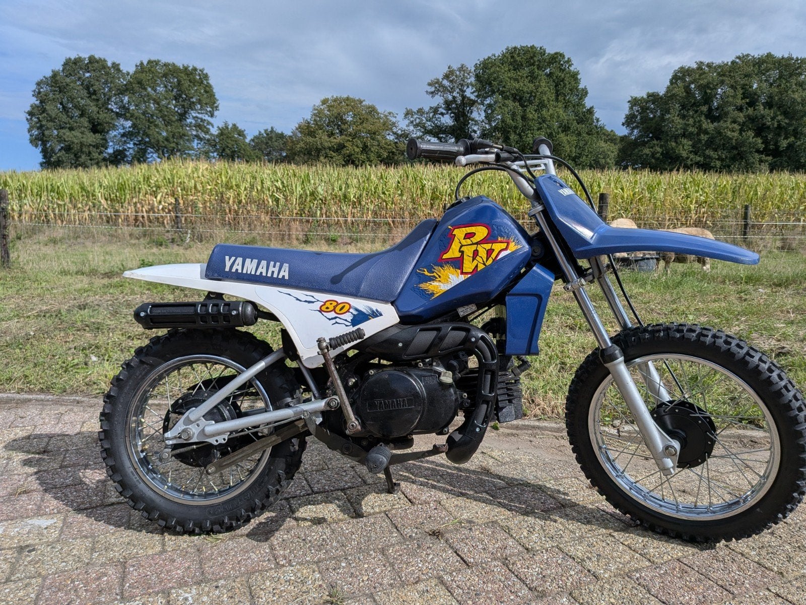 Yamaha pw 80, Ophalen of Verzenden, Zo goed als nieuw, Yamaha