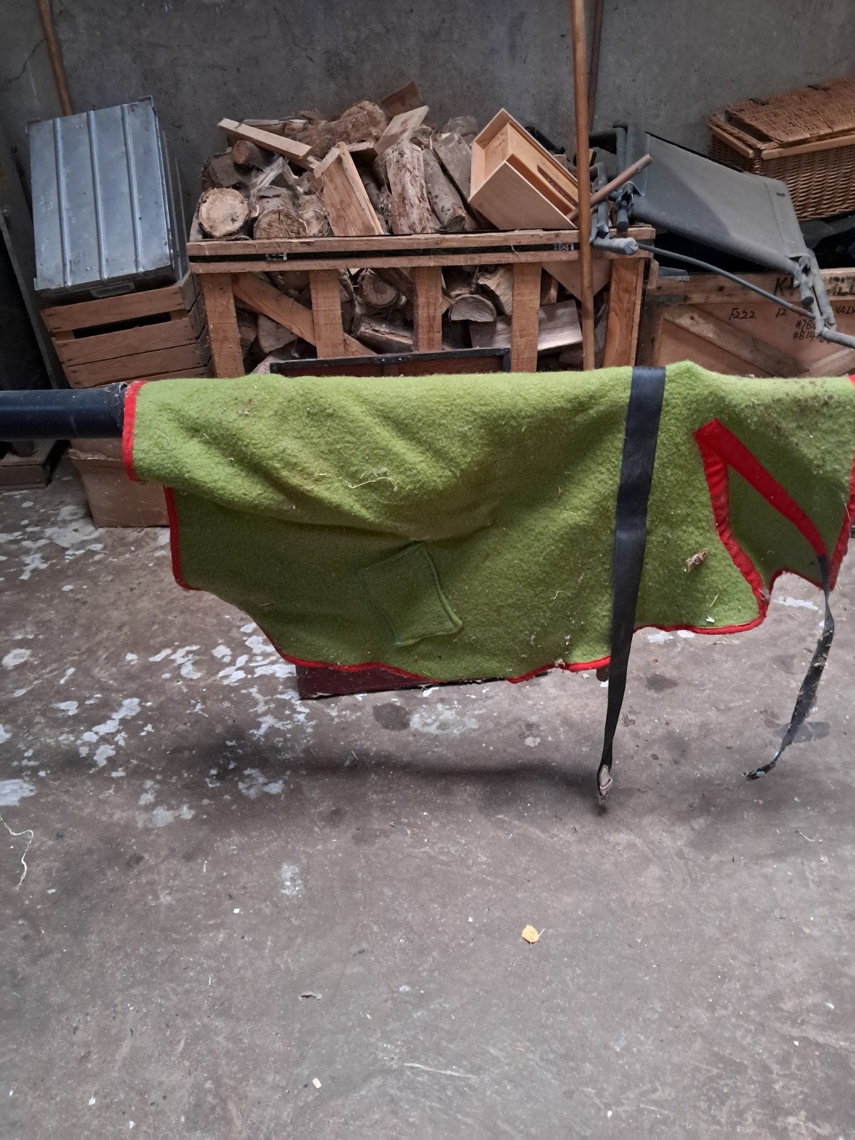 Wollen dek voor Shetlander, Ophalen, Gebruikt, Shetlander/Mini, Groen