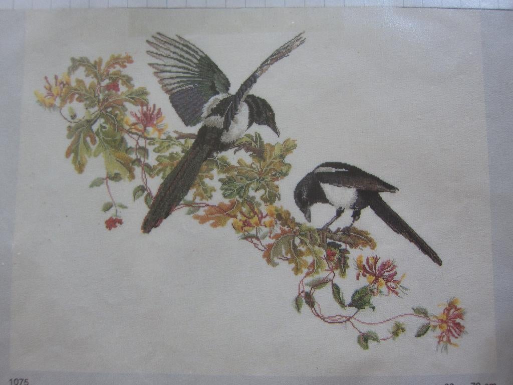 borduurpatroon kievit grutto borduren watersnip kolibri, Ophalen of Verzenden, Zo goed als nieuw, Handborduren, Patroon
