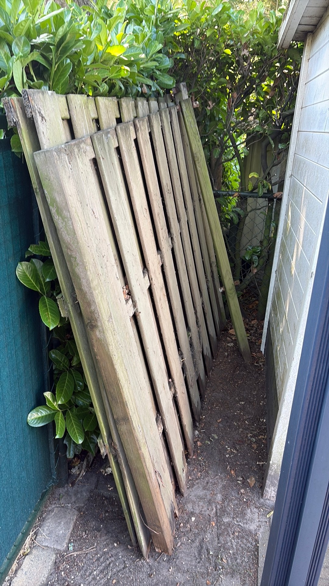 3 schutting panelen, Tuin en Terras, Schuttingen, Ophalen, 3 tot 6 meter, Hout, 1 tot 2 meter