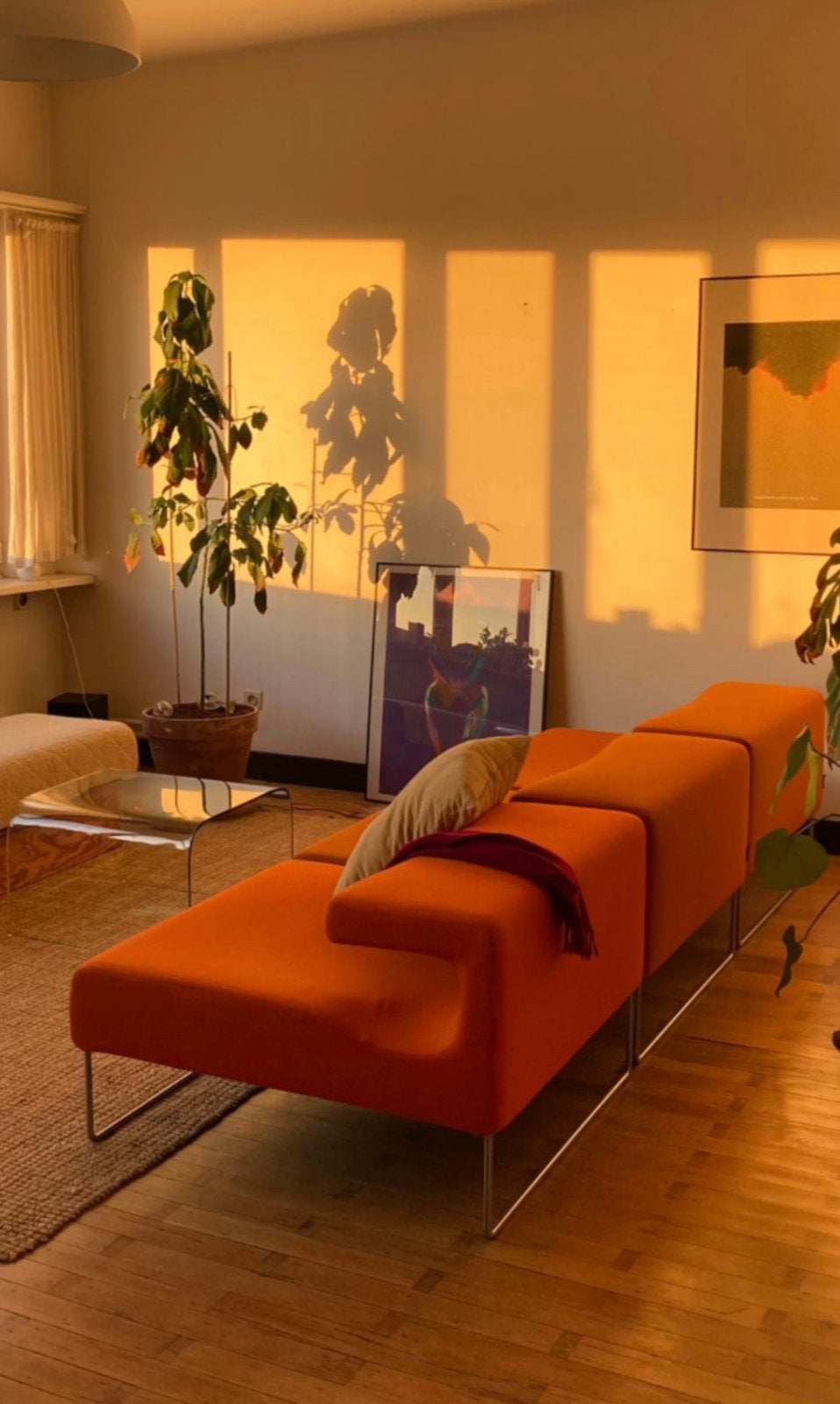 Moroso Low Seat - design, Ophalen, Zo goed als nieuw, 75 tot 100 cm, Minder dan 150 cm
