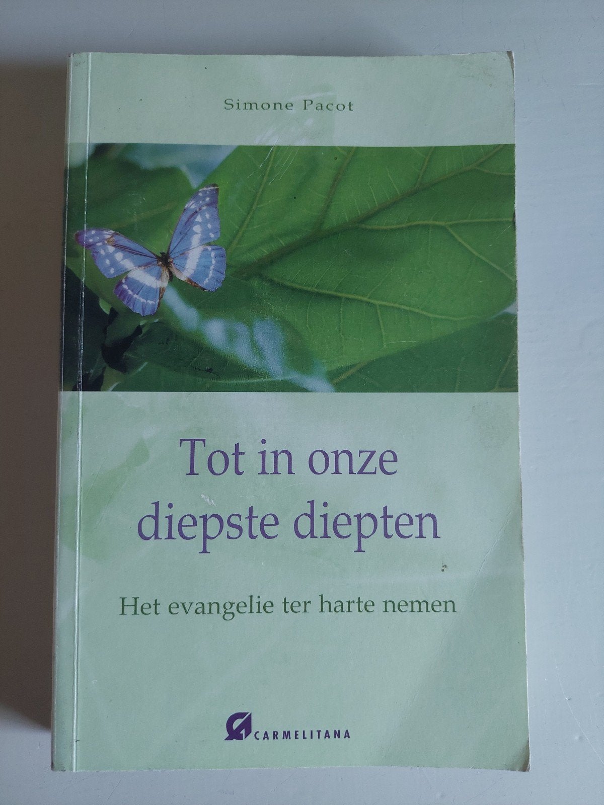 Tot in onze diepste diepten - Simone Pacot, Ophalen of Verzenden, Gelezen, Simone Pacot