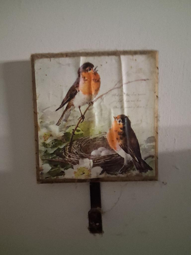 hanger met roodborstjes erop, Ophalen, Zo goed als nieuw, Minder dan 50 cm, Schilderij