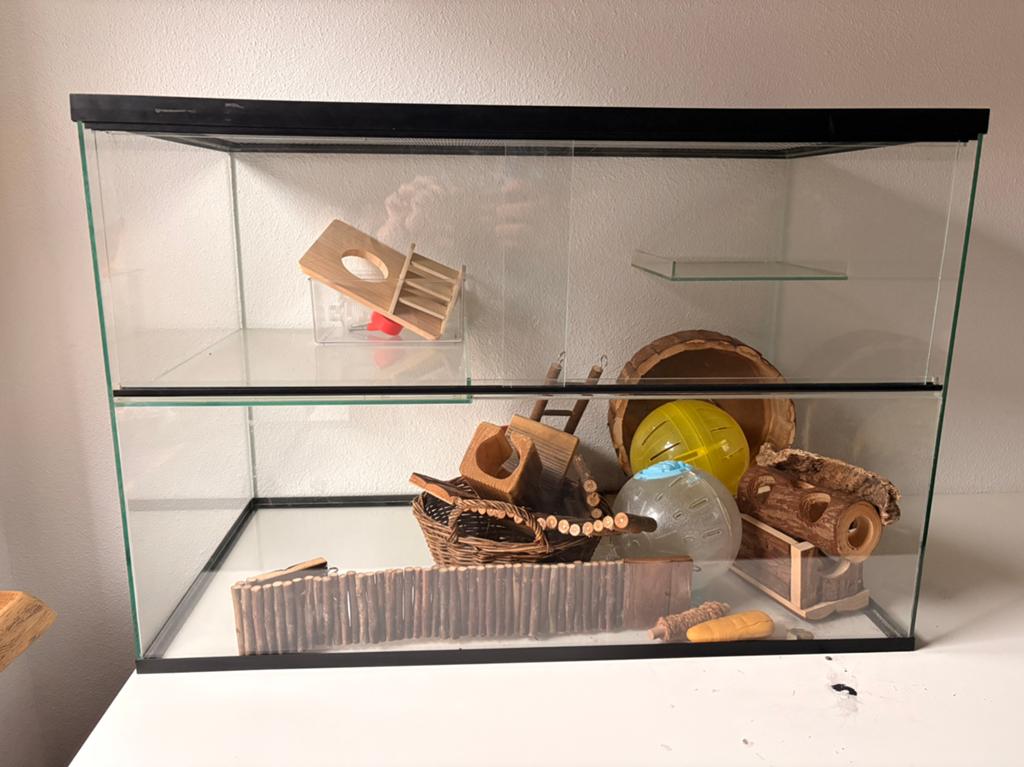 Super mooie hamster, muizen terrarium, Ophalen, Zo goed als nieuw, Overige typen