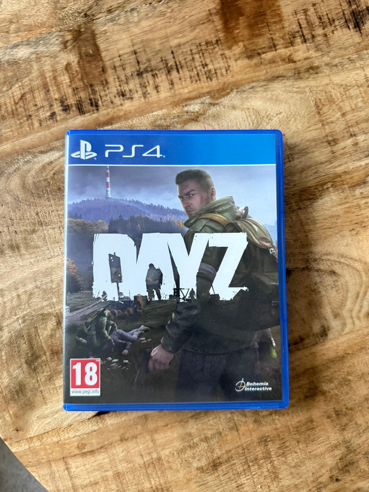 DayZ (PS4)