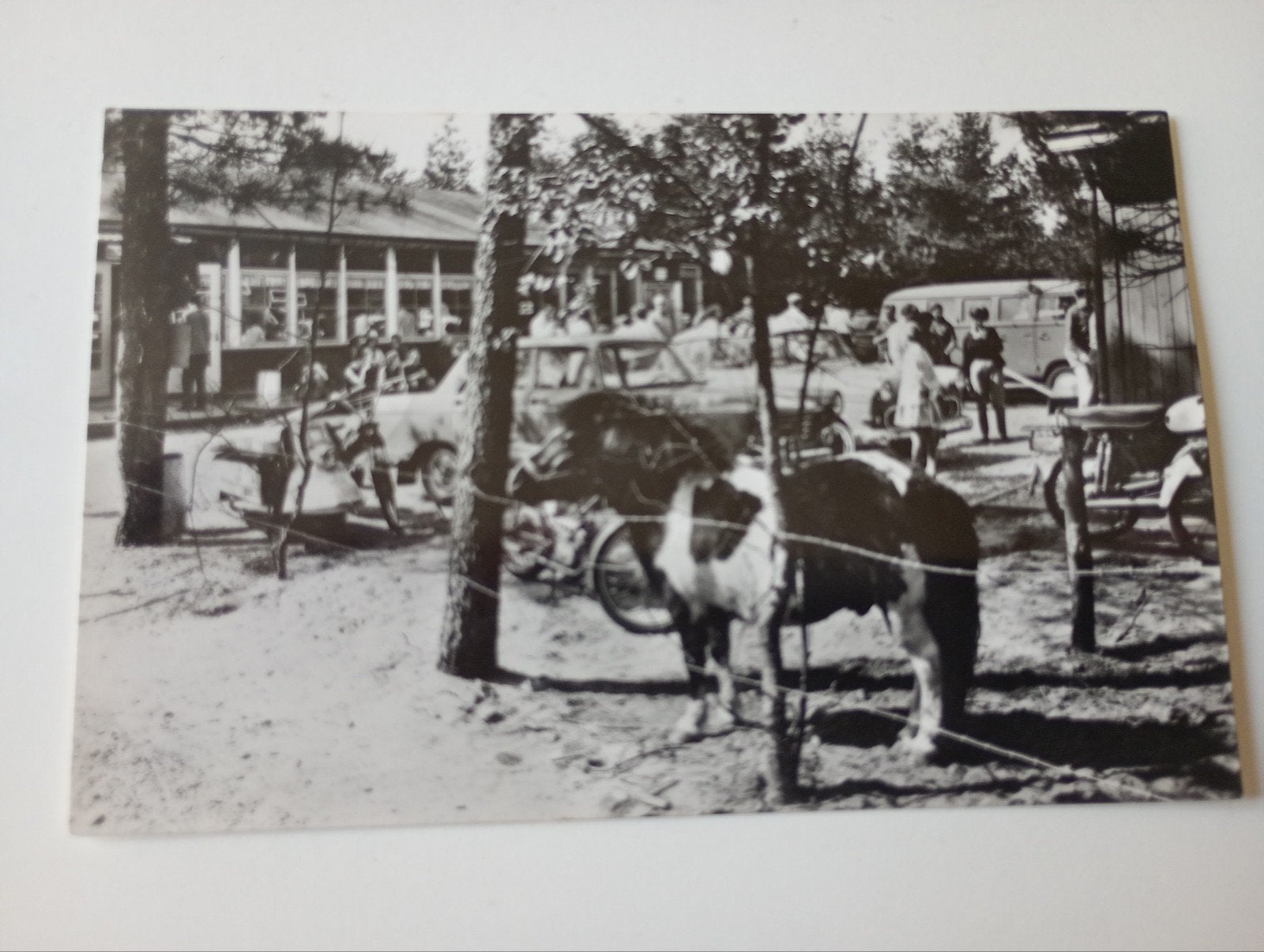 Amerongen De Ossenberg met Auto's 1966, Ophalen of Verzenden, 1960 tot 1980, Gelopen, Utrecht