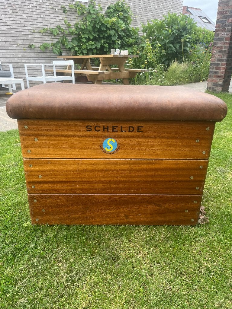 Schelde turnkast, Sport en Fitness, Maat 36 t/m 42, Ophalen, Gebruikt, Materiaal