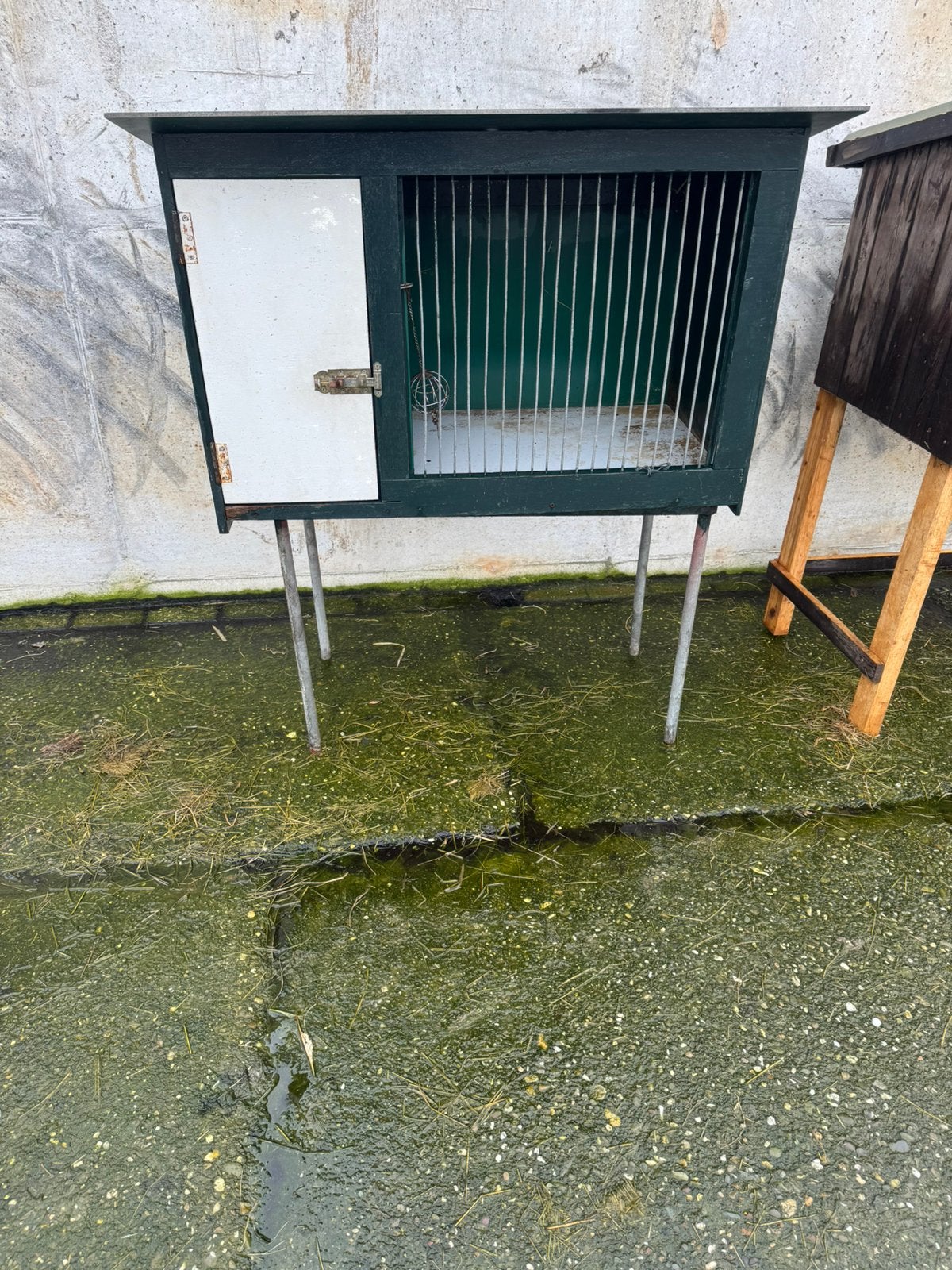 Mooi harhouten konijnen hok, Ophalen, 110 cm of meer, Zo goed als nieuw, 90 cm of meer
