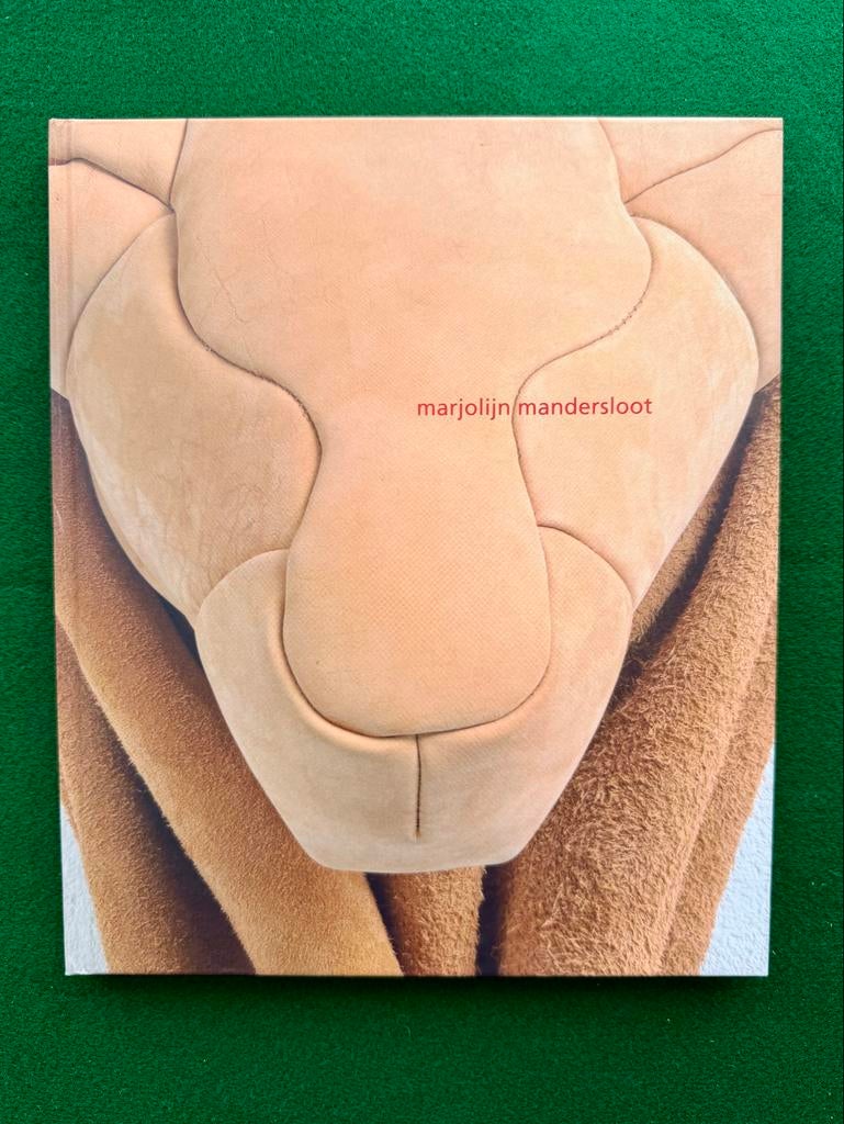 Marjolijn Mandersloot - sculpturen, Boeken, Kunst en Cultuur | Fotografie en Design, Nieuw, Overige onderwerpen, Ophalen of Verzenden