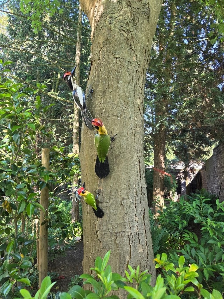 GROENE SPECHT - STREET ART - FAIRTRADE, Ophalen of Verzenden, Nieuw